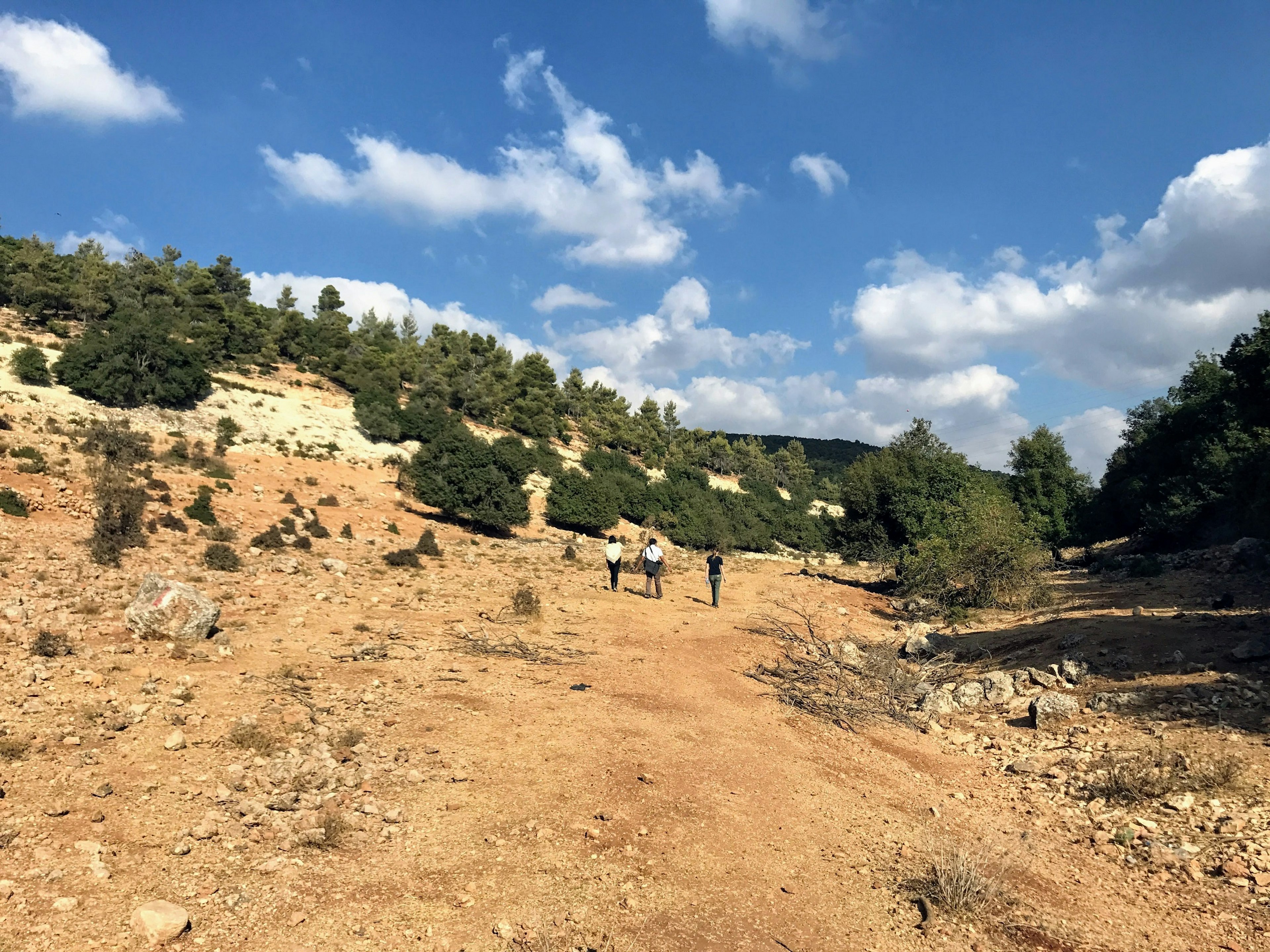 Three people hike along a rocky path towards a forest within some rolling hills.