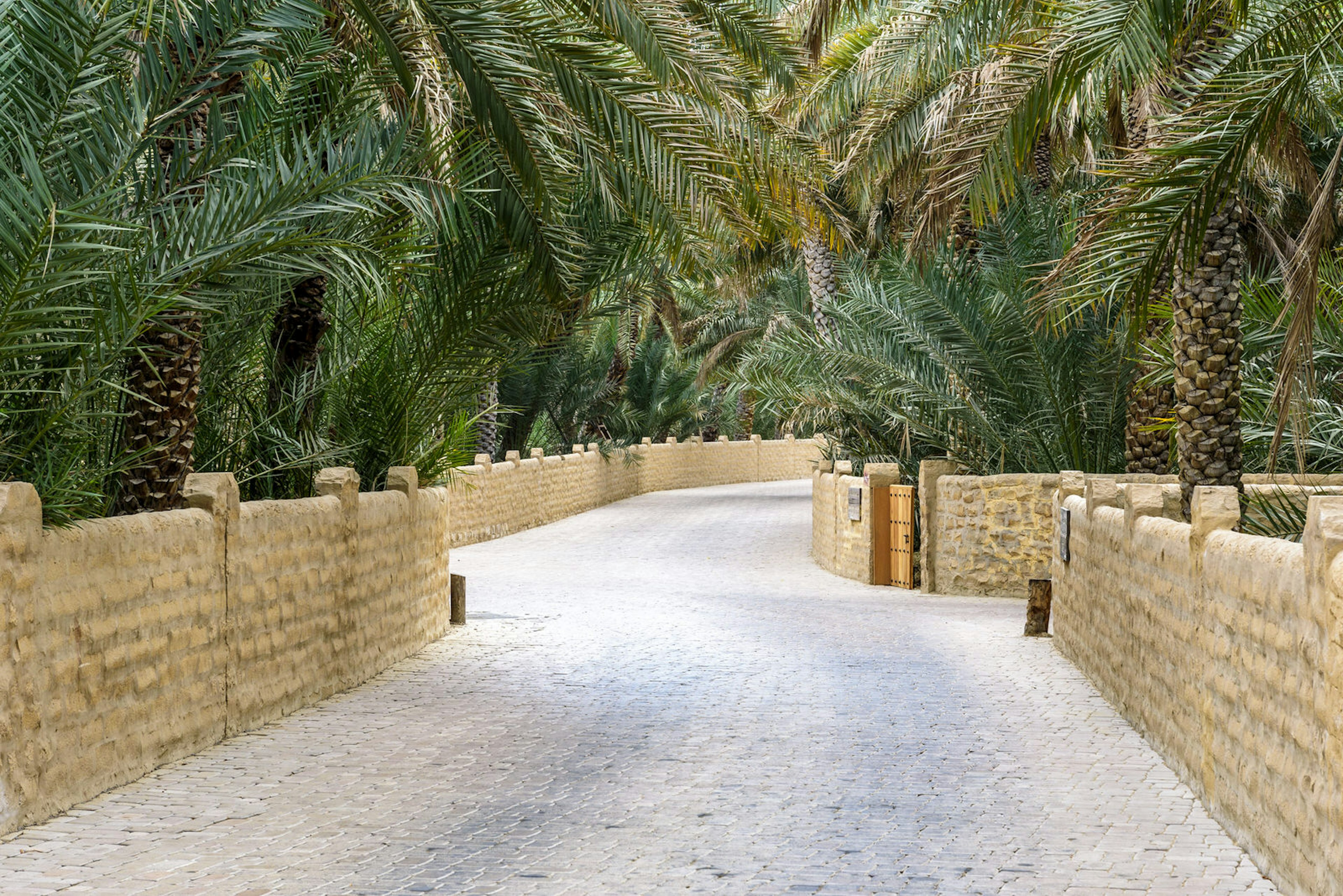 657153014
qasr
Pathway through the palm trees of the Al Ain Oasis in the United Arab Emirates