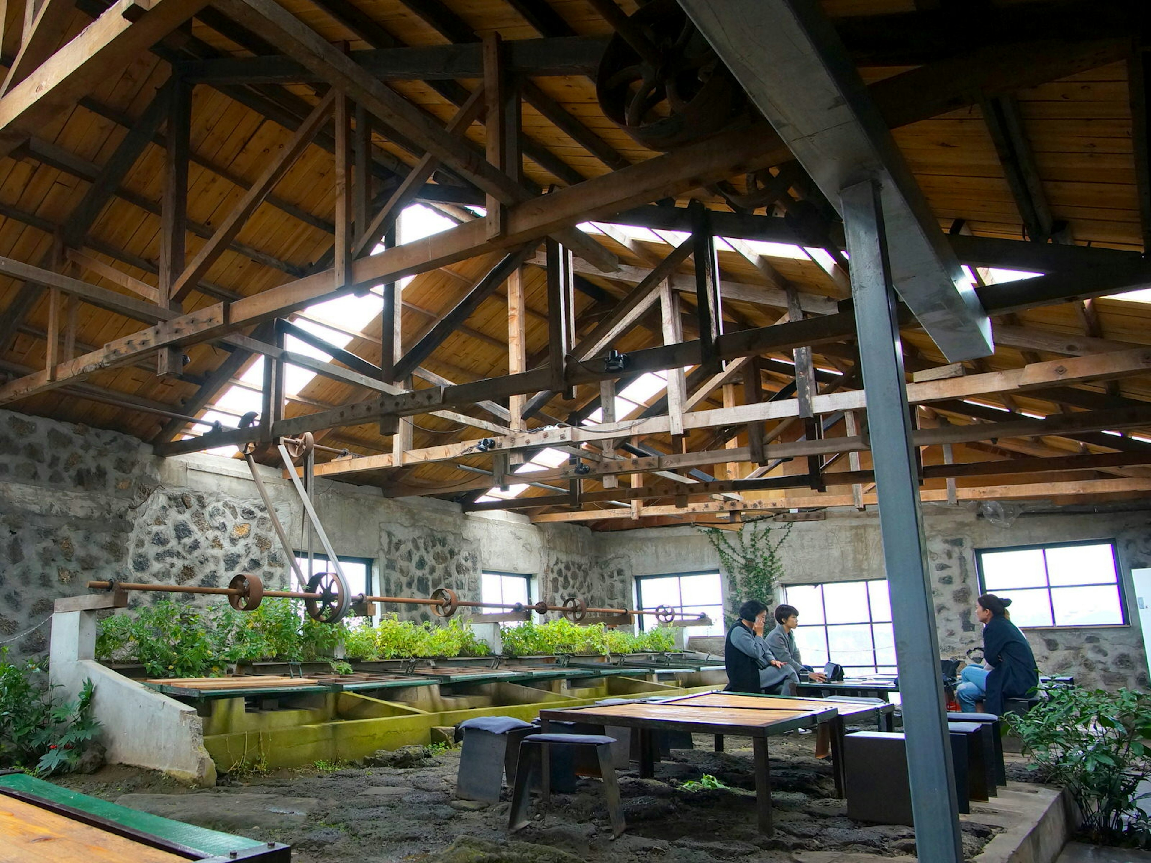 Interior of converted warehouse with beams and green plants and tables of people drinking coffee