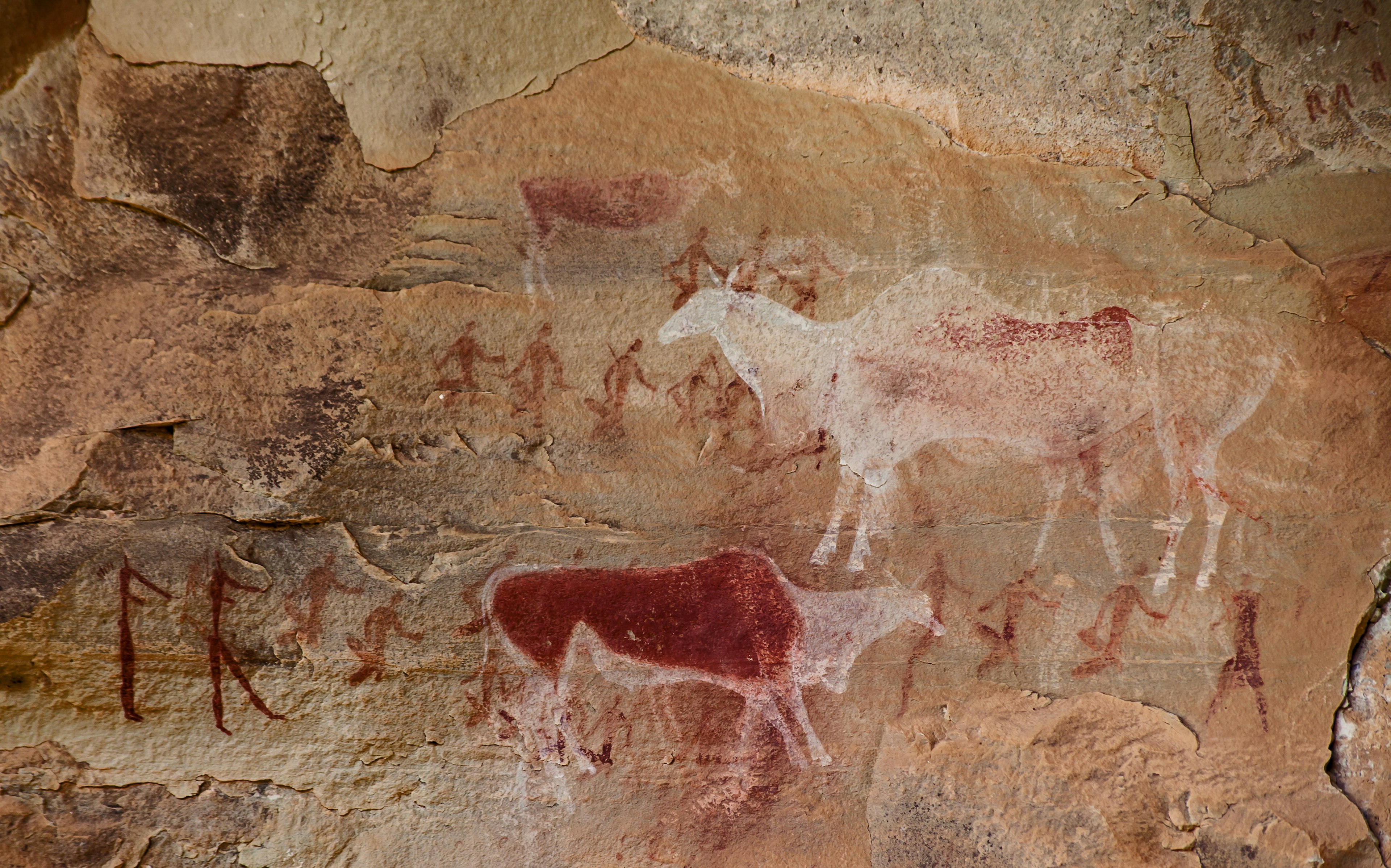 Bushman Rock Art in the 'War Cave' near Injisuthi in the Drakensberg, South Africa.