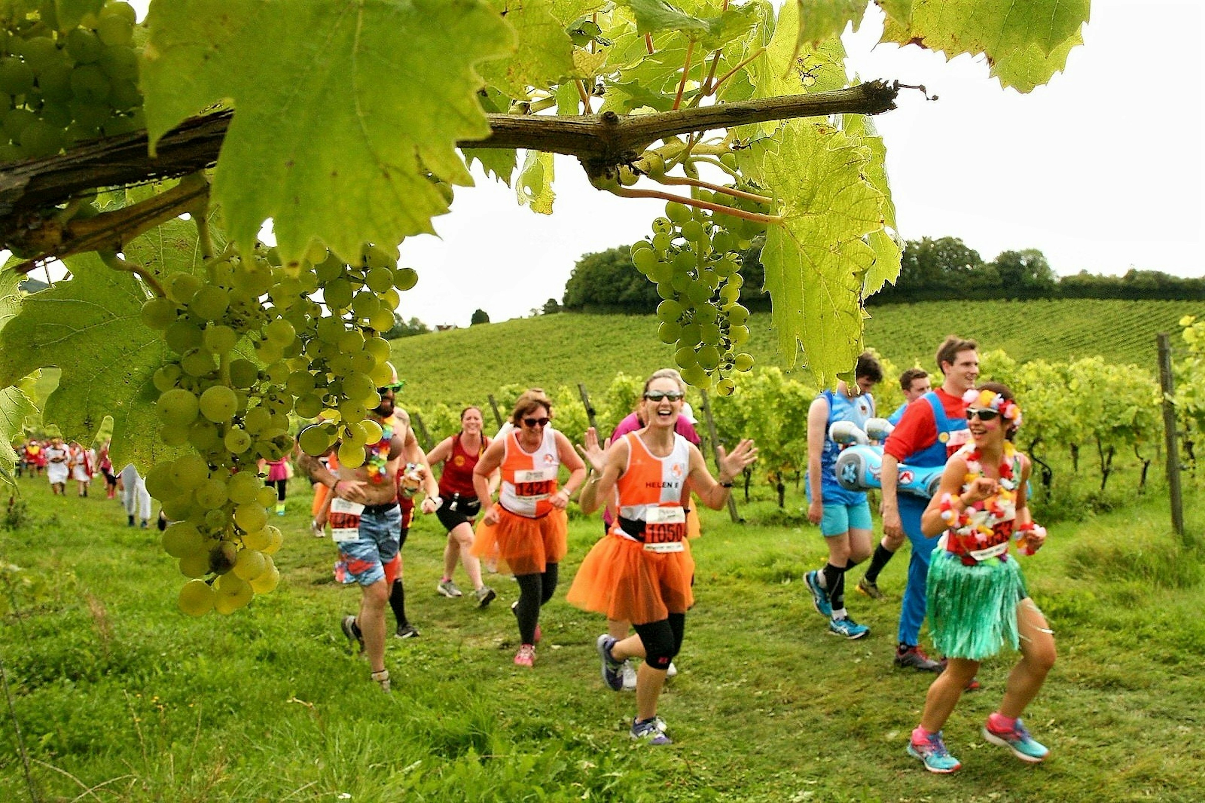 Motivation on the Bacchus Marathon comes in the shape of grapes and a hog roast © 209 Events