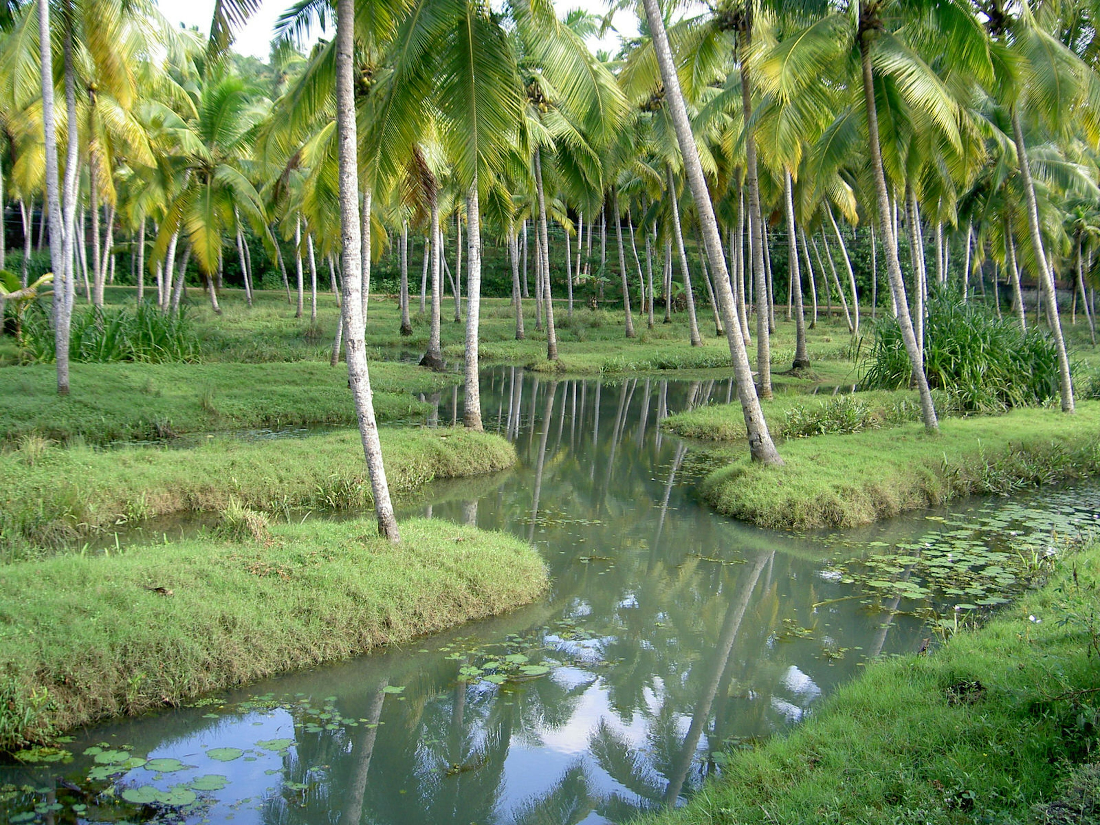 Kerala’s backwaters © Andreas Polz / Shutterstock