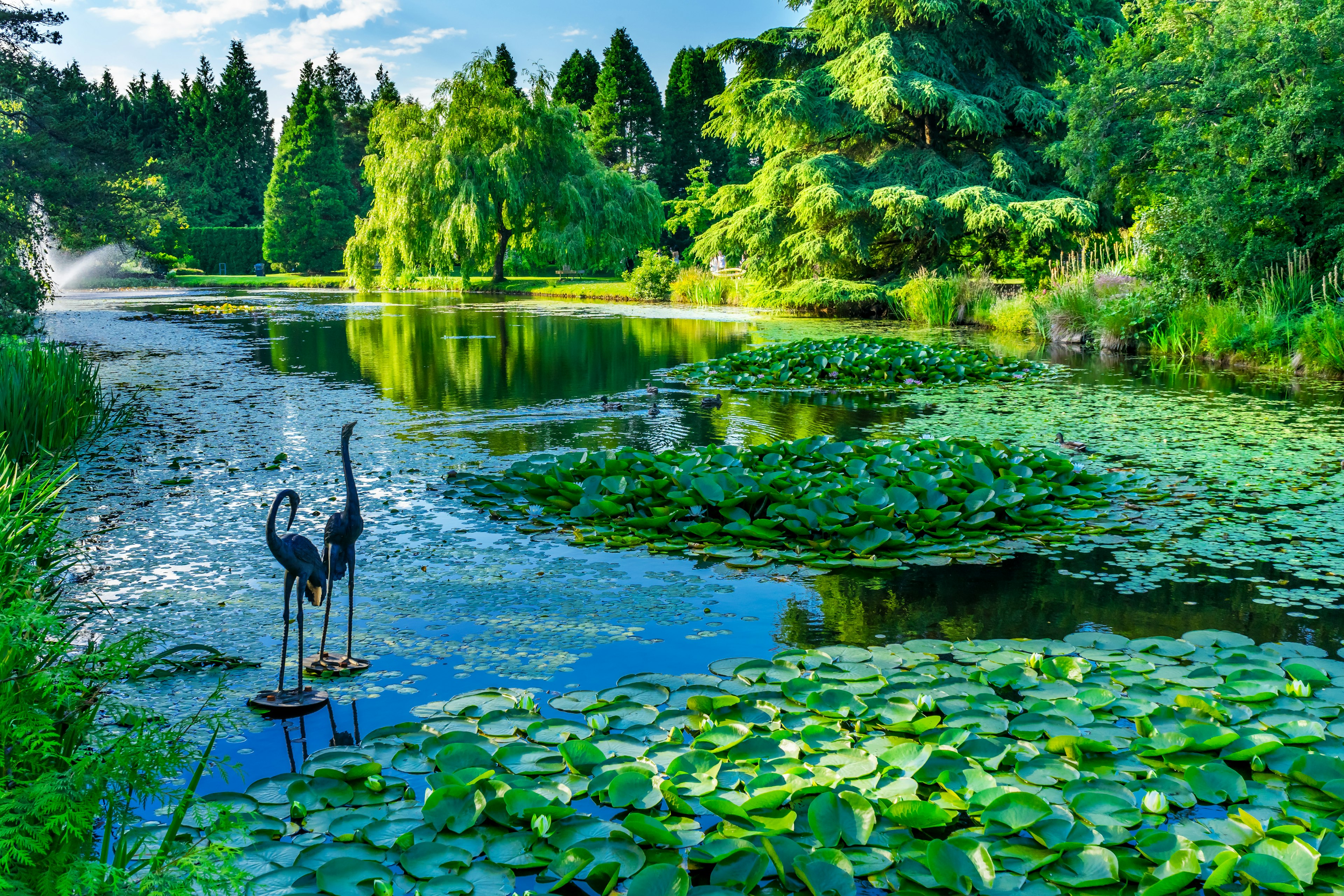 Two birds statues stand among plants in a botanical gardens.