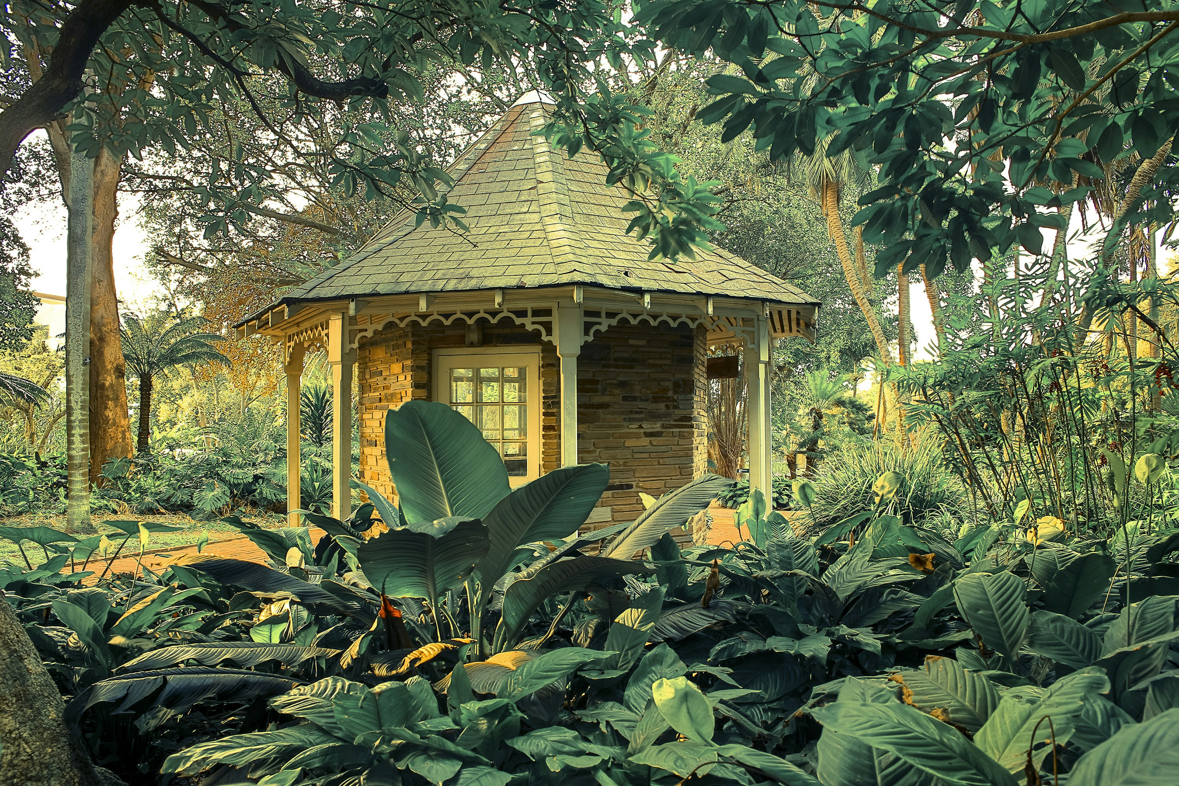 Durban, South Africa - July 01, 2013. Colonial style kiosk used as tourist information at Durban botanical gardens.
458382107
Botanical Garden, Kiosk, Colonial Style, Architecture, Durban, Kwazulu-Natal, South Africa, Front or Back Yard, Formal Garden