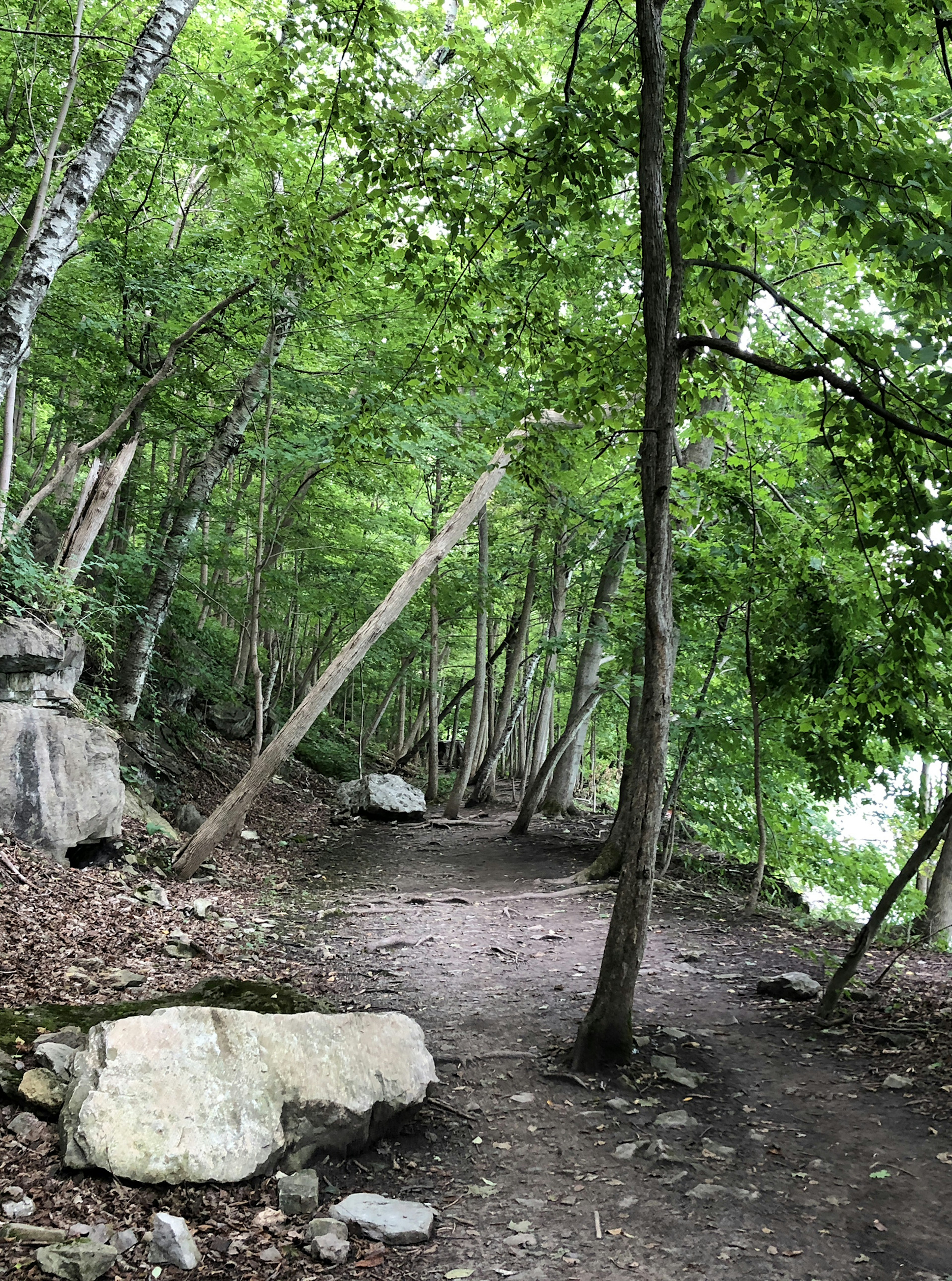 Well packed dirt trail with a big rock and trees full of green leaves