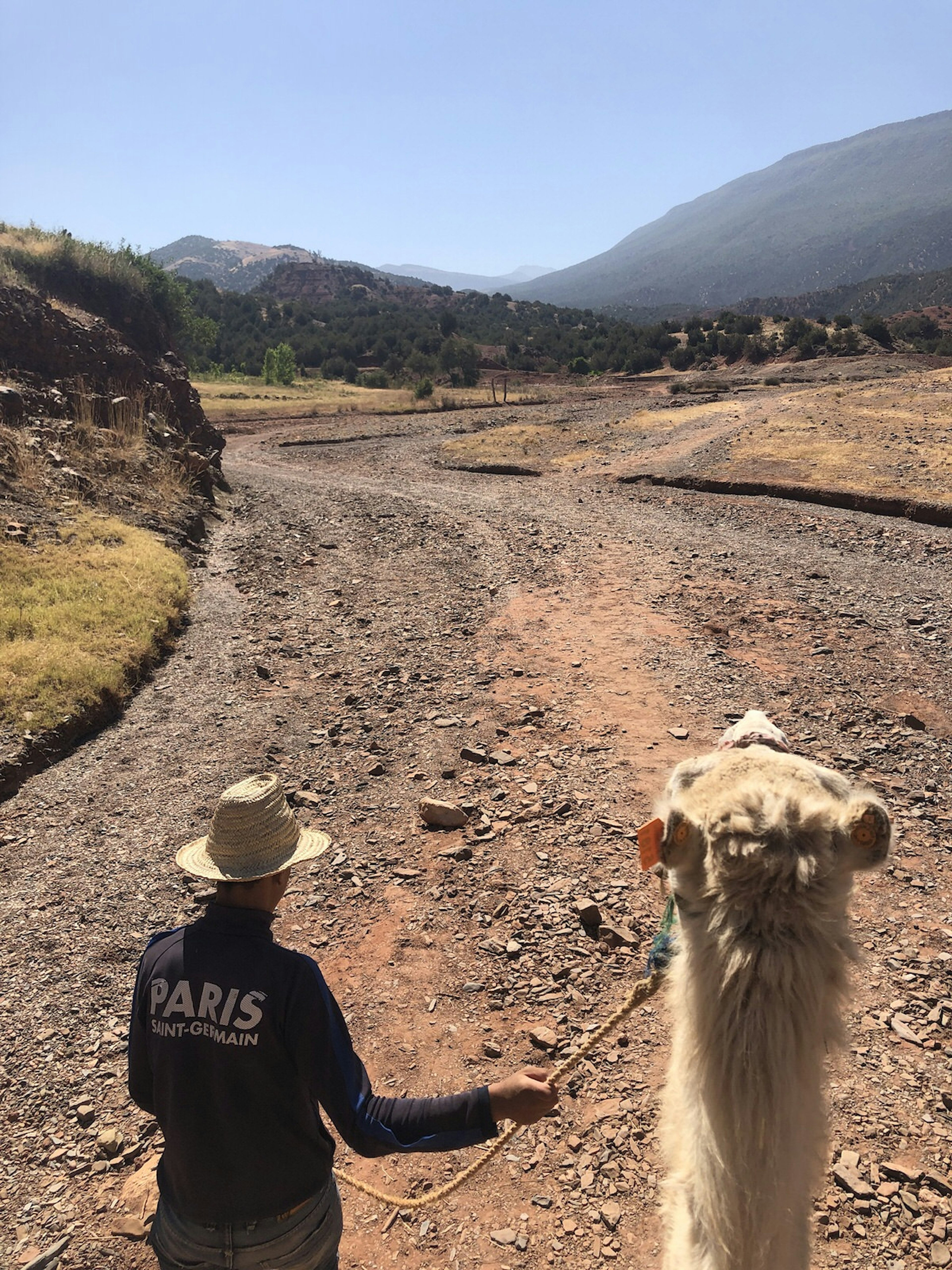 The view from the atop a camel on a trek from Moulay Brahim Gorge; the head of the camel and the guide leading it are visible below.