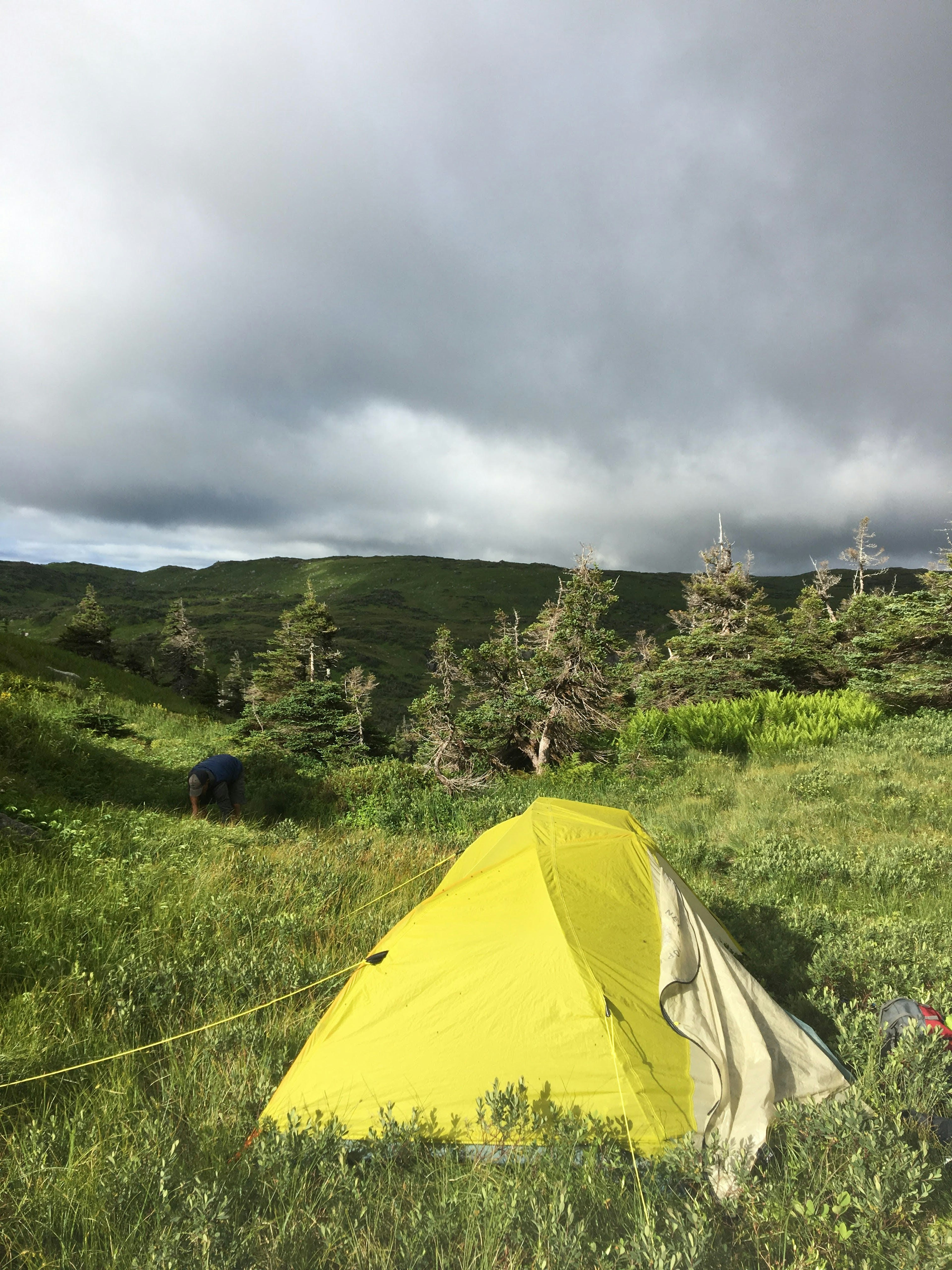 A bright yellow dome tent sits in long grass in the middle of mountainous wilderness. A person is visible beyond the tent, bending over to look at something on the ground