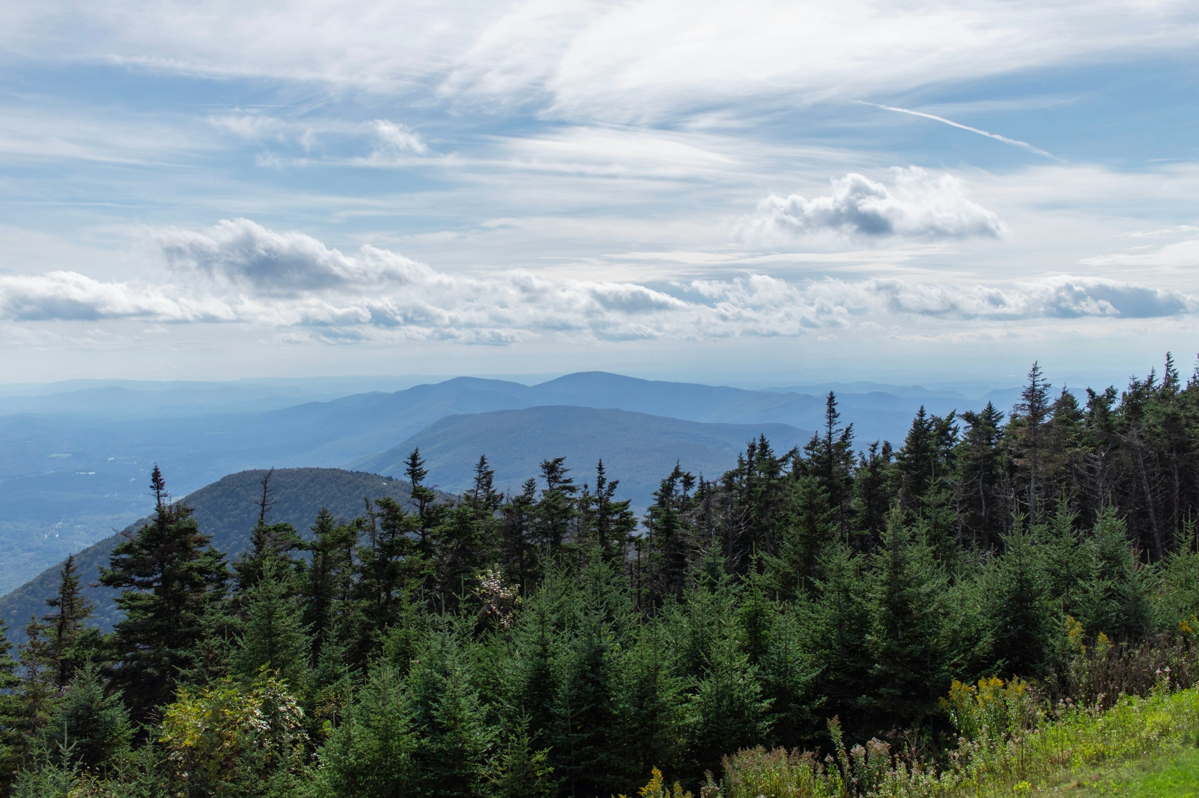 A view of a forest and mountains in Vermont.