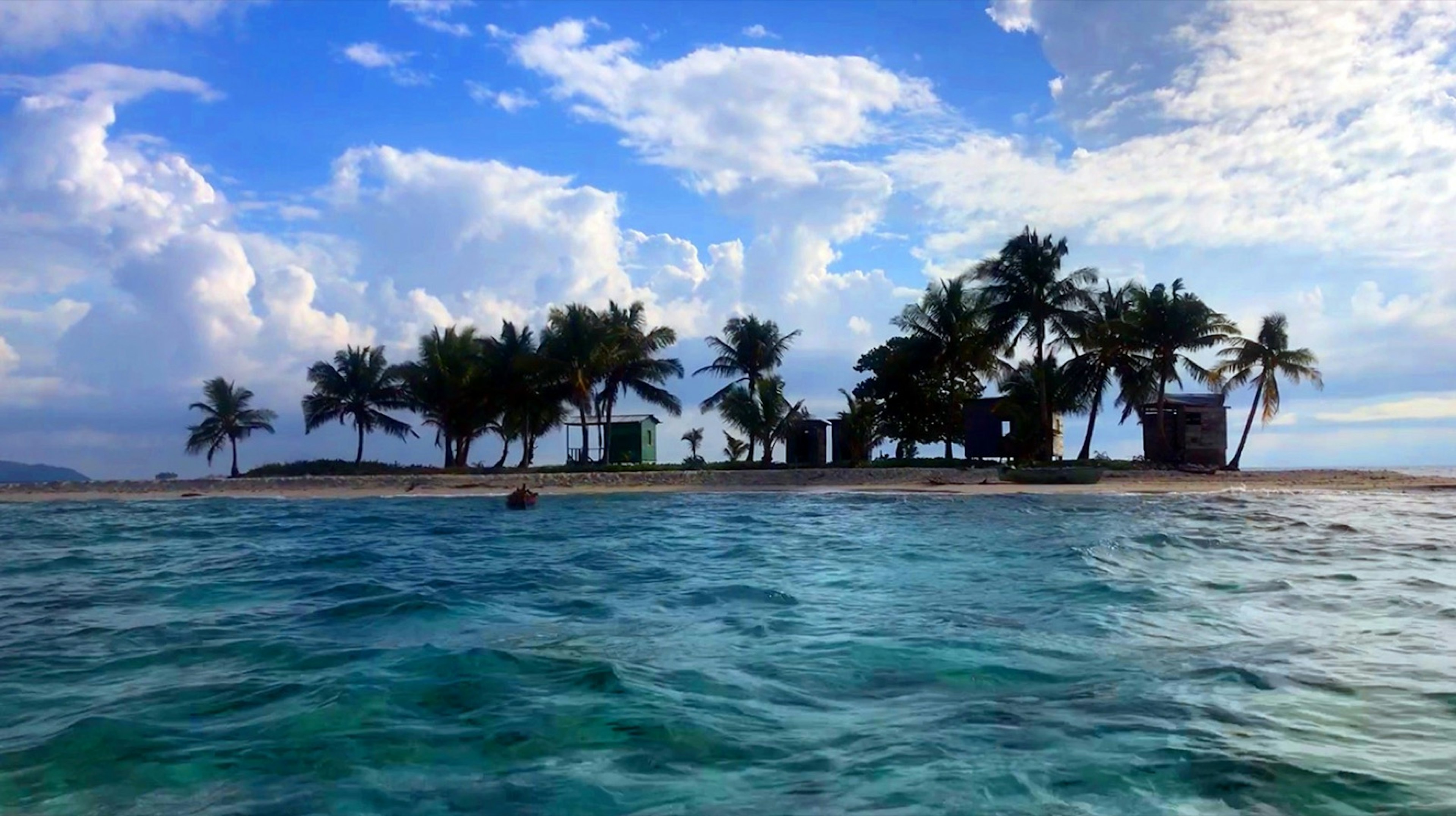 Palm trees line the beach at Cayos Cochinos in Honduras © Erik R. Trinidad / Lonely Planet