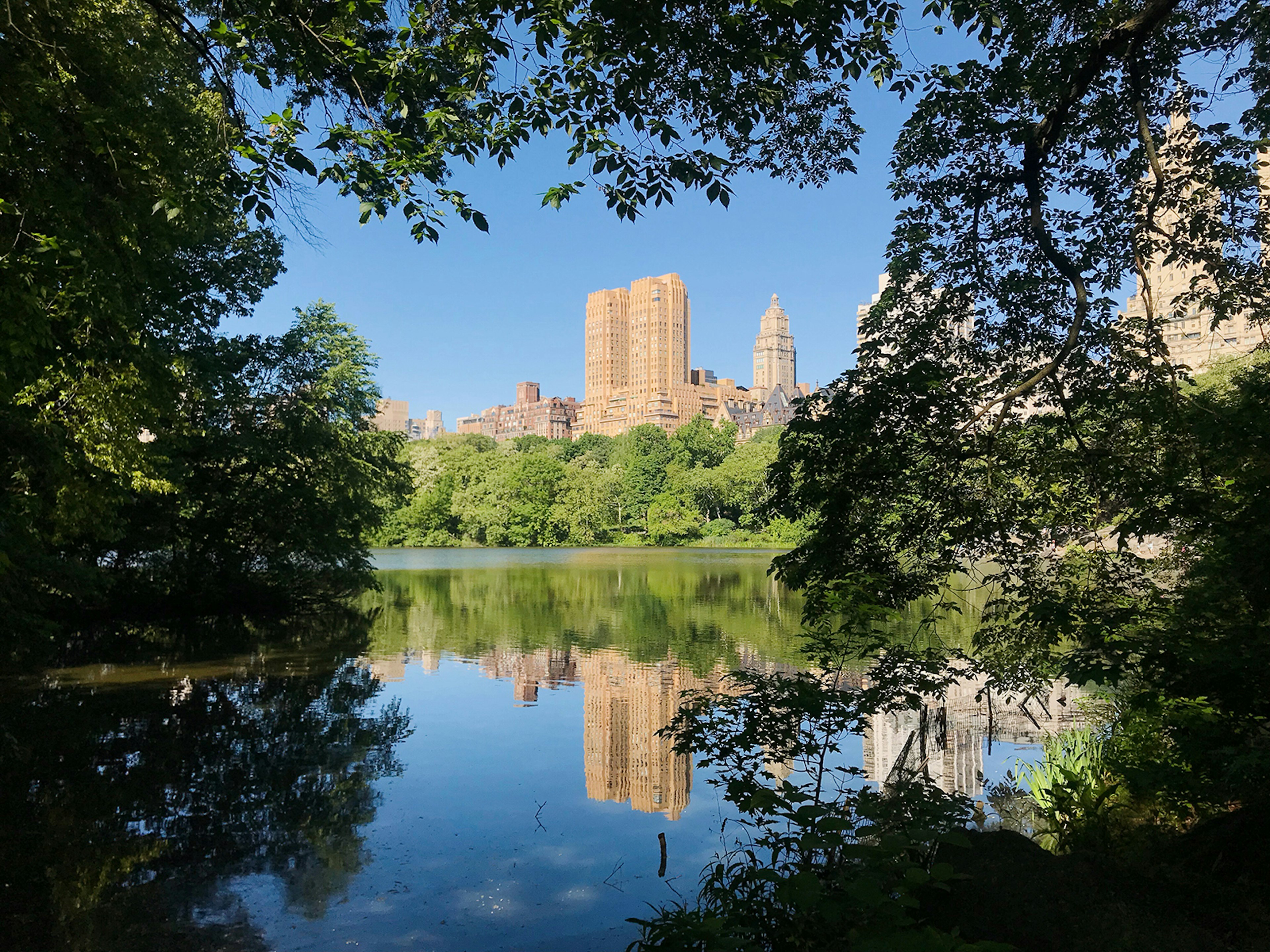 A glimpse of the Upper West Side of NYC from the far side of Central Park Lake, with trees framing the buildings and a blue sky. © Mikki Brammer / ϰϲʿ¼