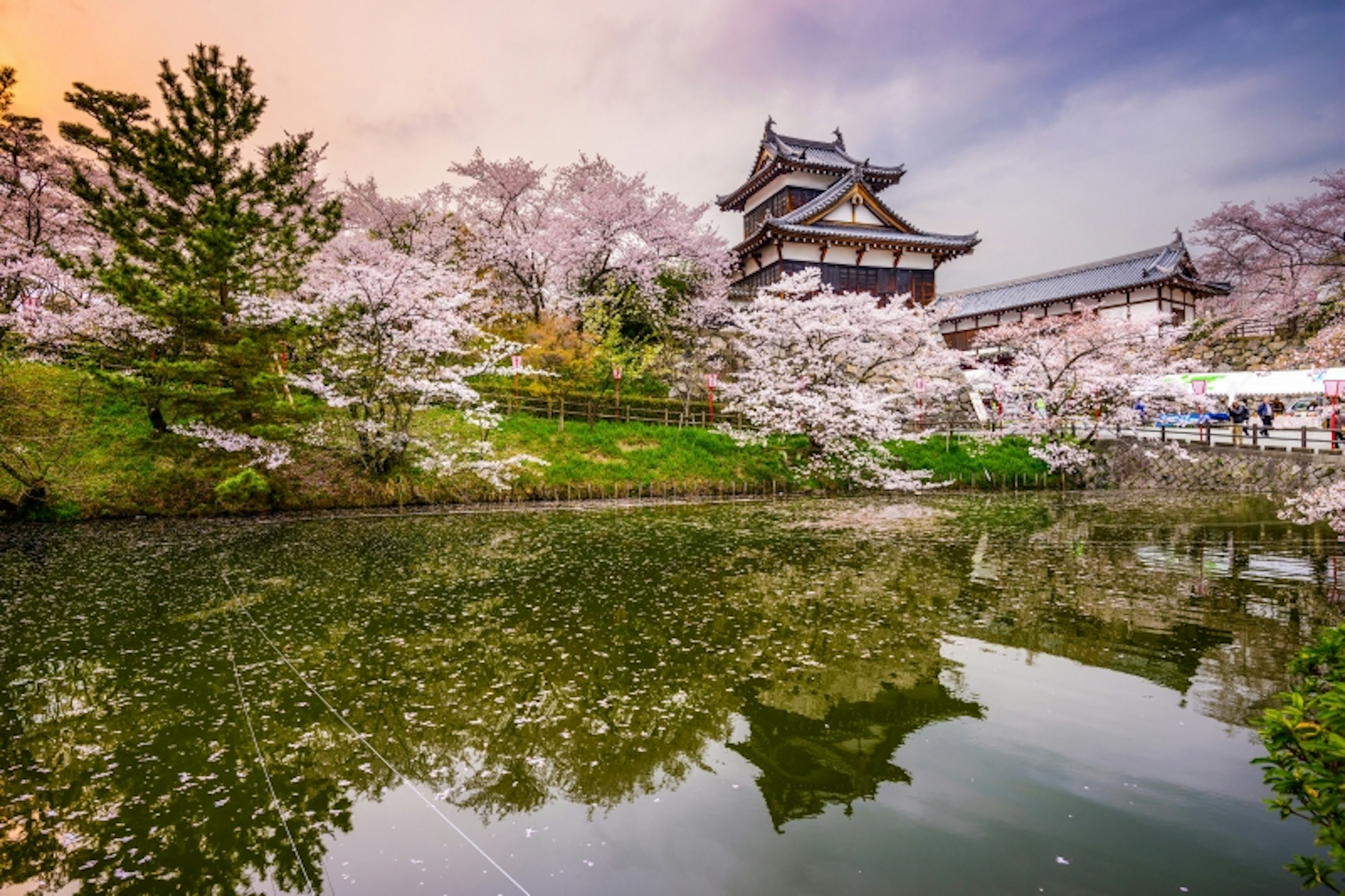 Nara, Japan at Koriyama Castle in the spring season.