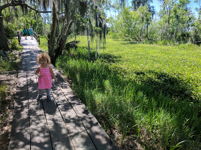 Toddler in a pink dress runs down a shaded boardwalk amid the greenery and Spanish moss-draped trees at Barataria Preserve © Adam Karlin / Lonely Planet