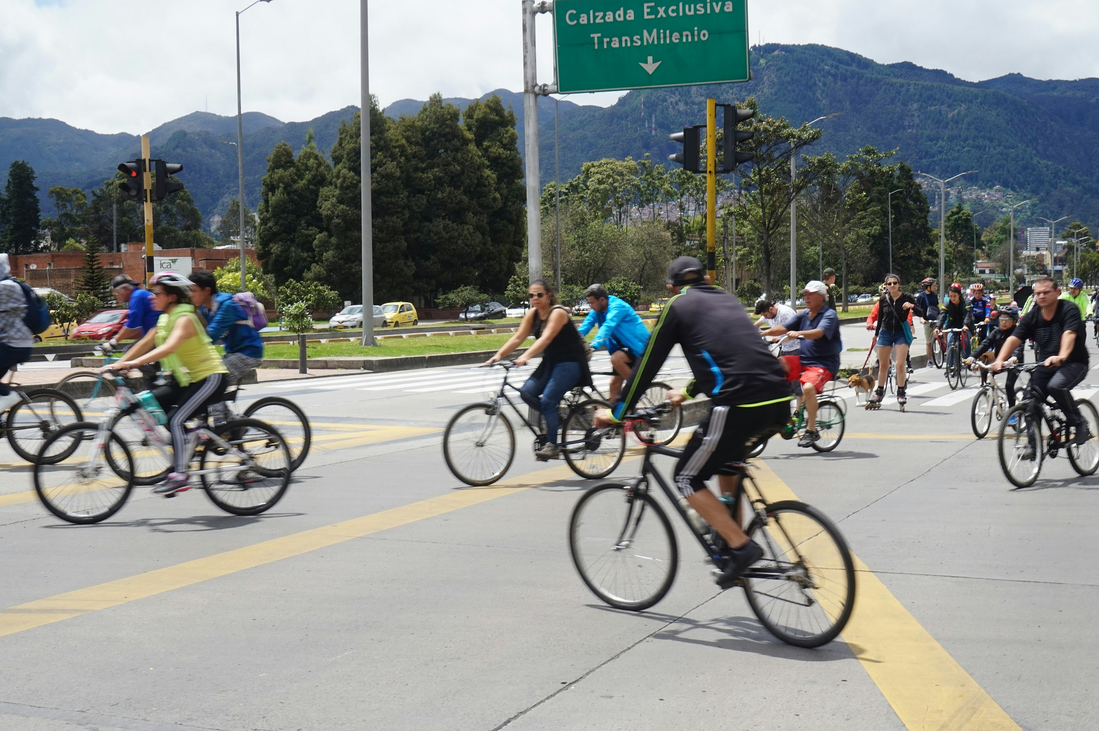 Cyclists and a rollerblader with her dog on a lead make their way down a major road.