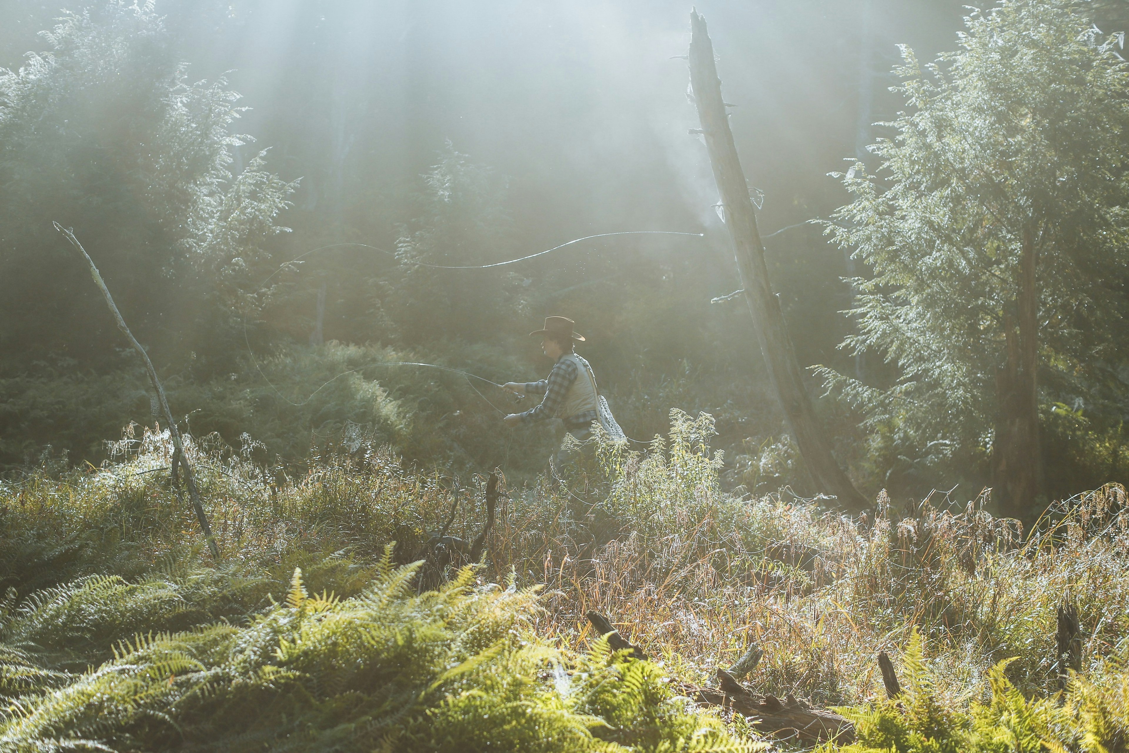 A male fly fisher casts off near the Mongaup Creek which feeds into the Willowemoc River. The foreground is dominated by greenery.