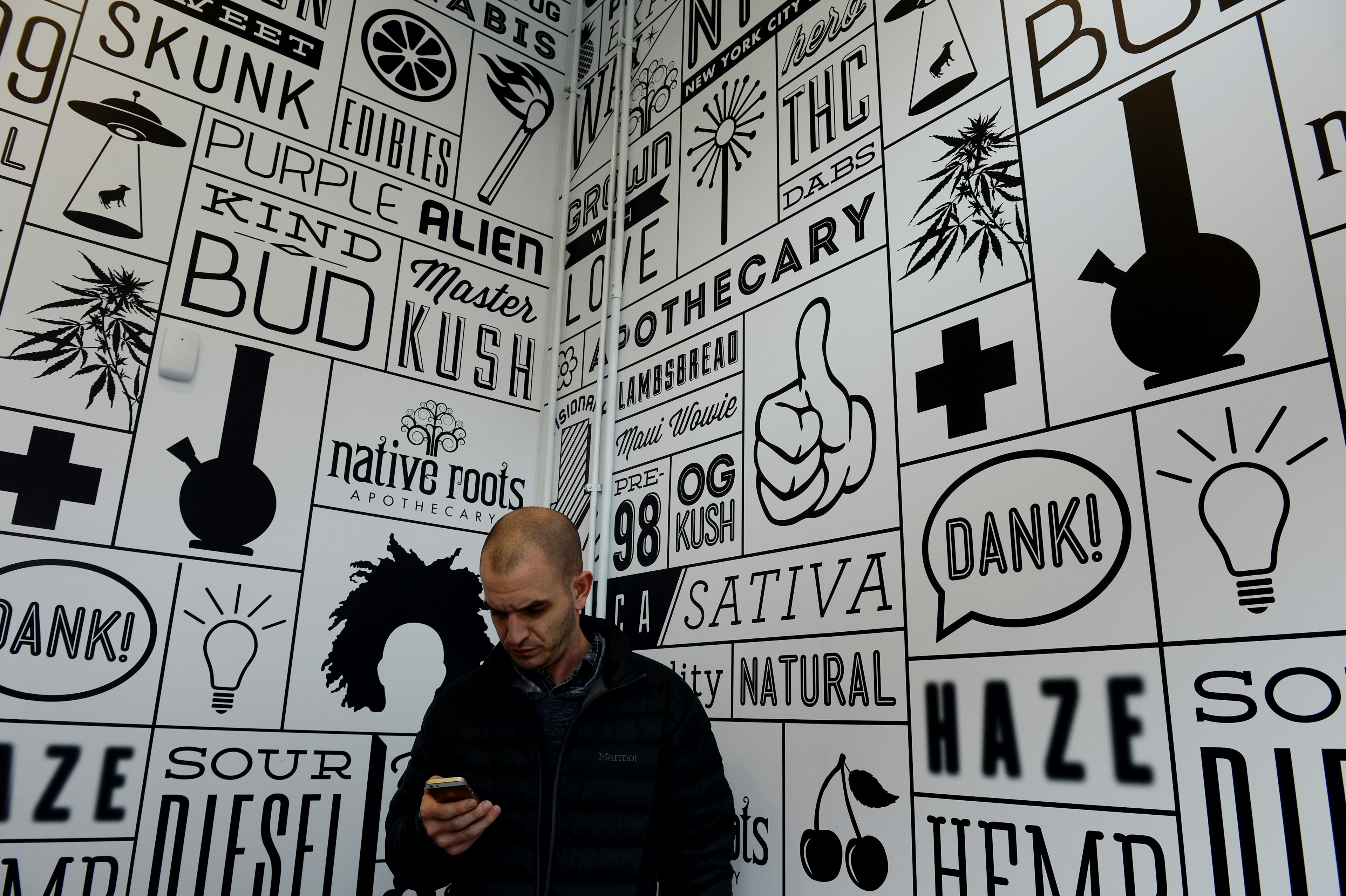 A gentleman in a black pullover looks at his phone while he waits in the lobby of the Native Roots dispensary in Denver, Colorado. Behind him is a large graphic mural with cartoon-style bongs, lightbulbs, flying saucers, matches, and slogans like