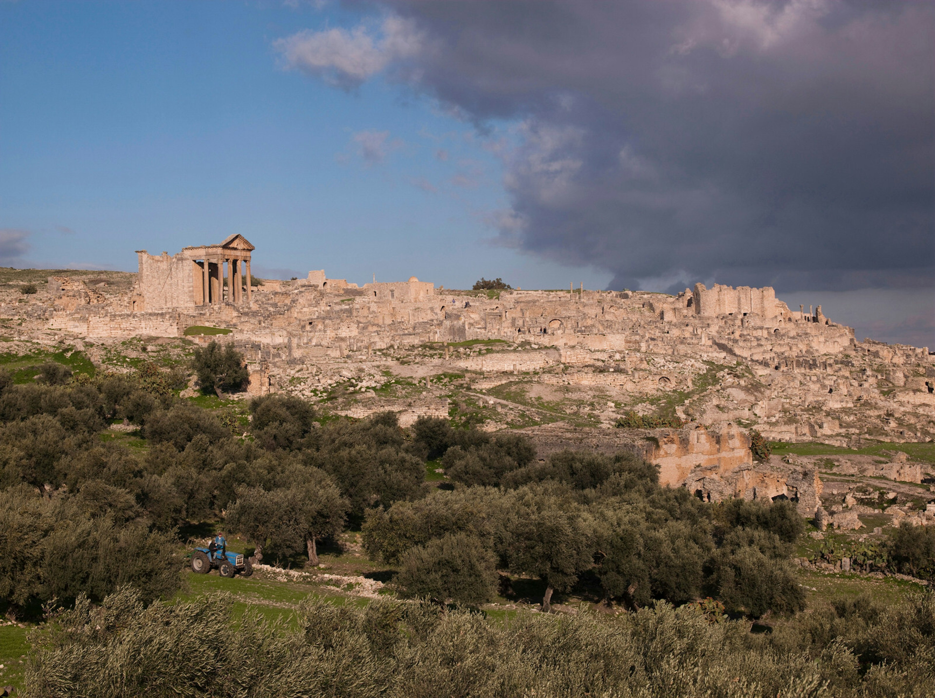 Olive trees outside the ancient Roman city of Dougga, a Unesco World Heritage Site in northern Tunisia