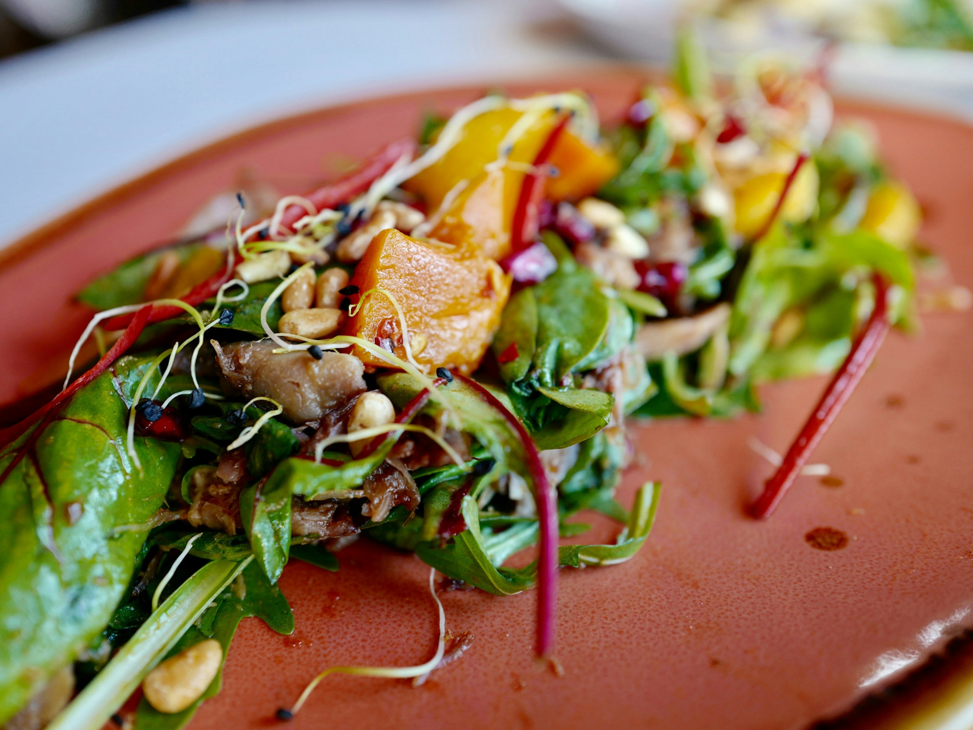 Icelandic seasonal vegetable salad with duck © WR36 / Shutterstock