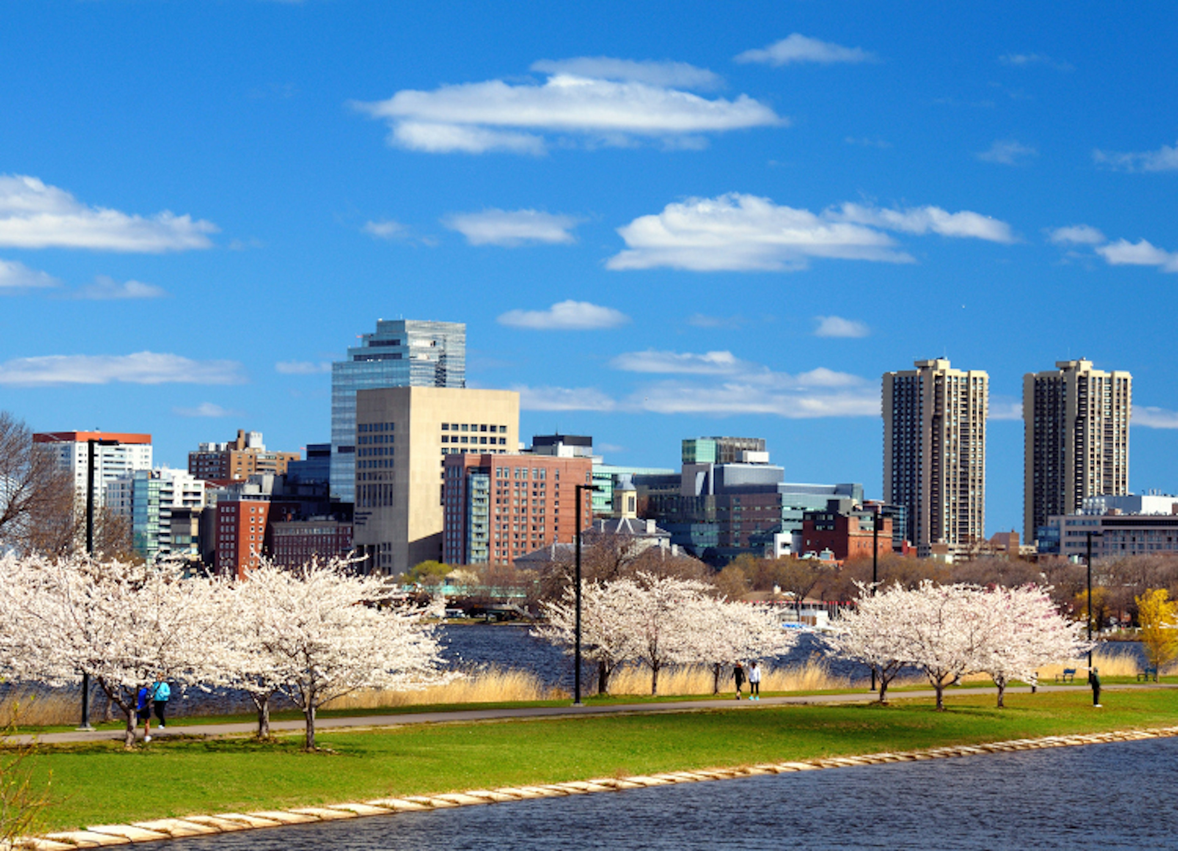 Charles River Esplanade, a water-fringed walkway. Image by Sean Pavone / Shutterstock.