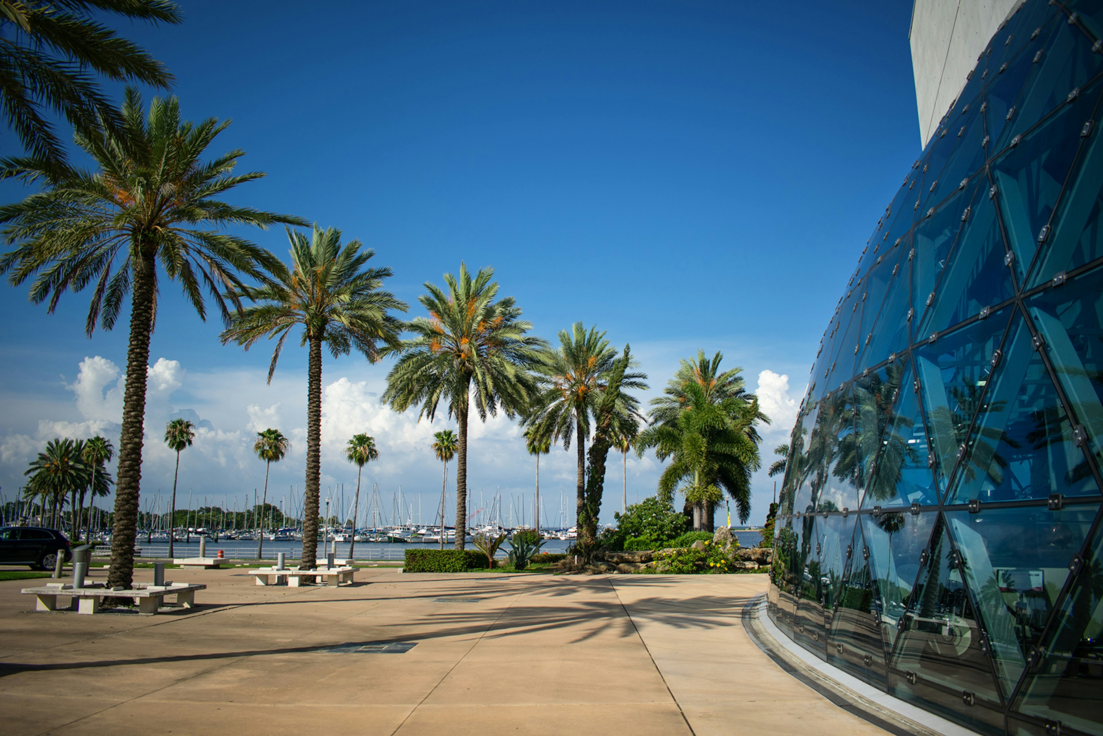 Palm trees line the rounded, glass exterior of the Salvador Dali museum in St Petersburg © Abbey Cory / Lonely Planet