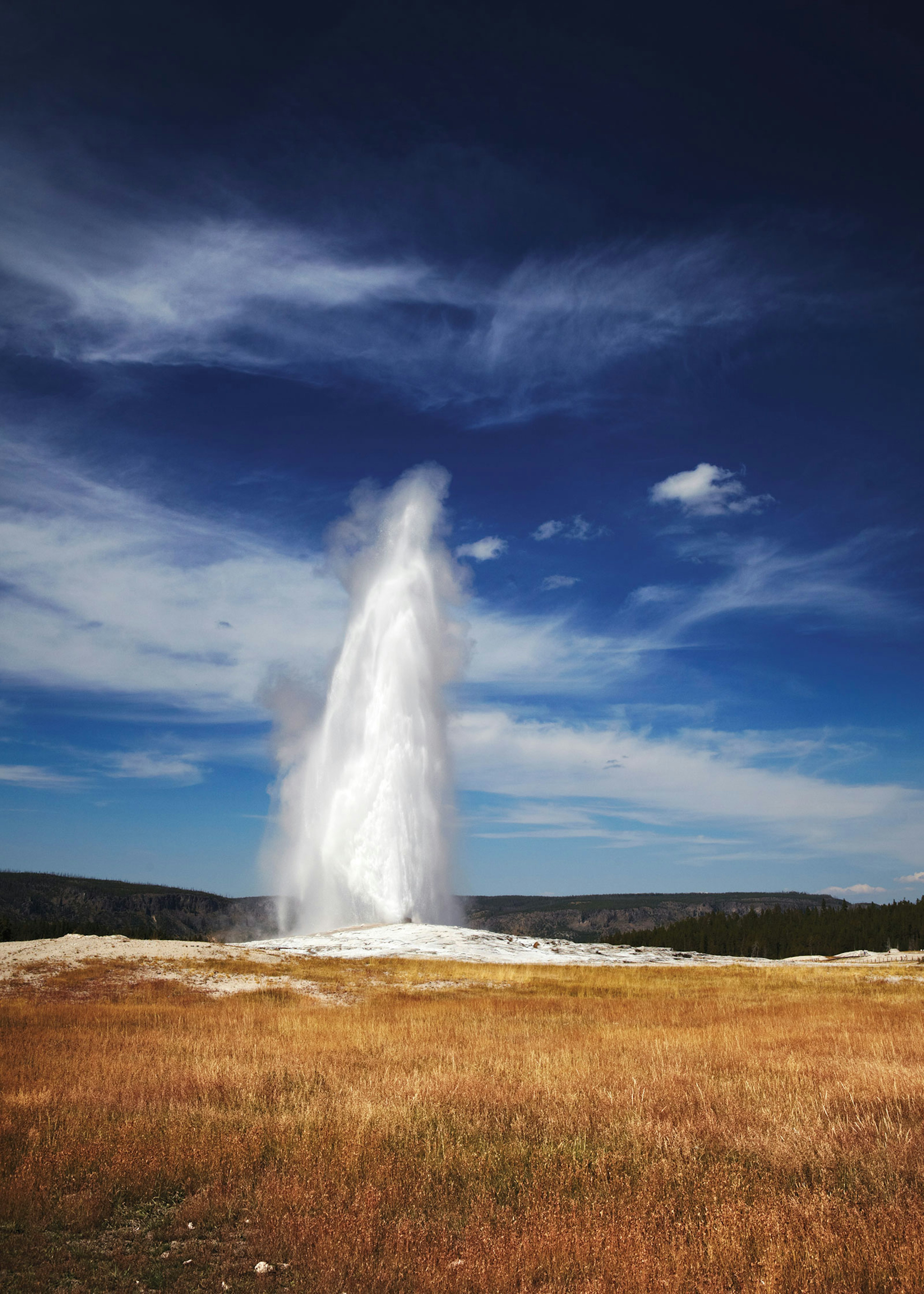 A plume of hot water erupts from Old Faithful, the most famous geyser in Yellowstone National Park © Matt Munro / ϰϲʿ¼