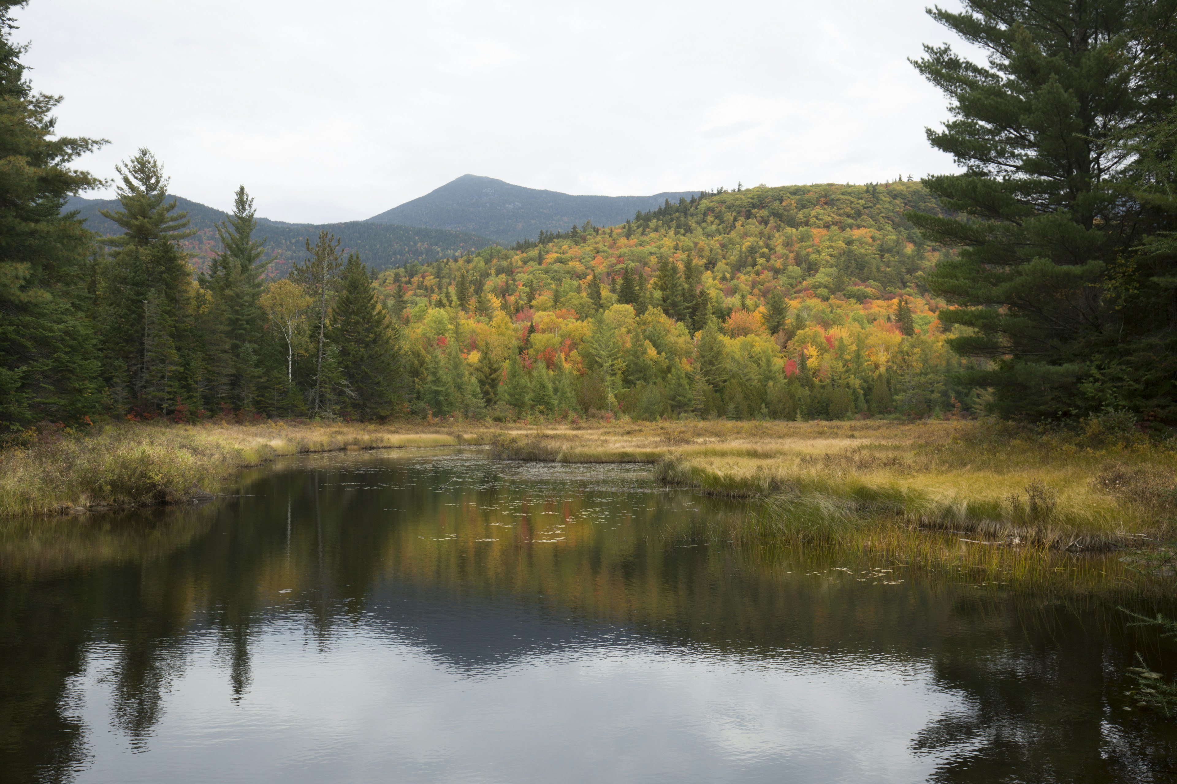 Fall colors on the shoreline of Stratton Brook Pond in the great north woods of Carrabassett Valley, Maine.