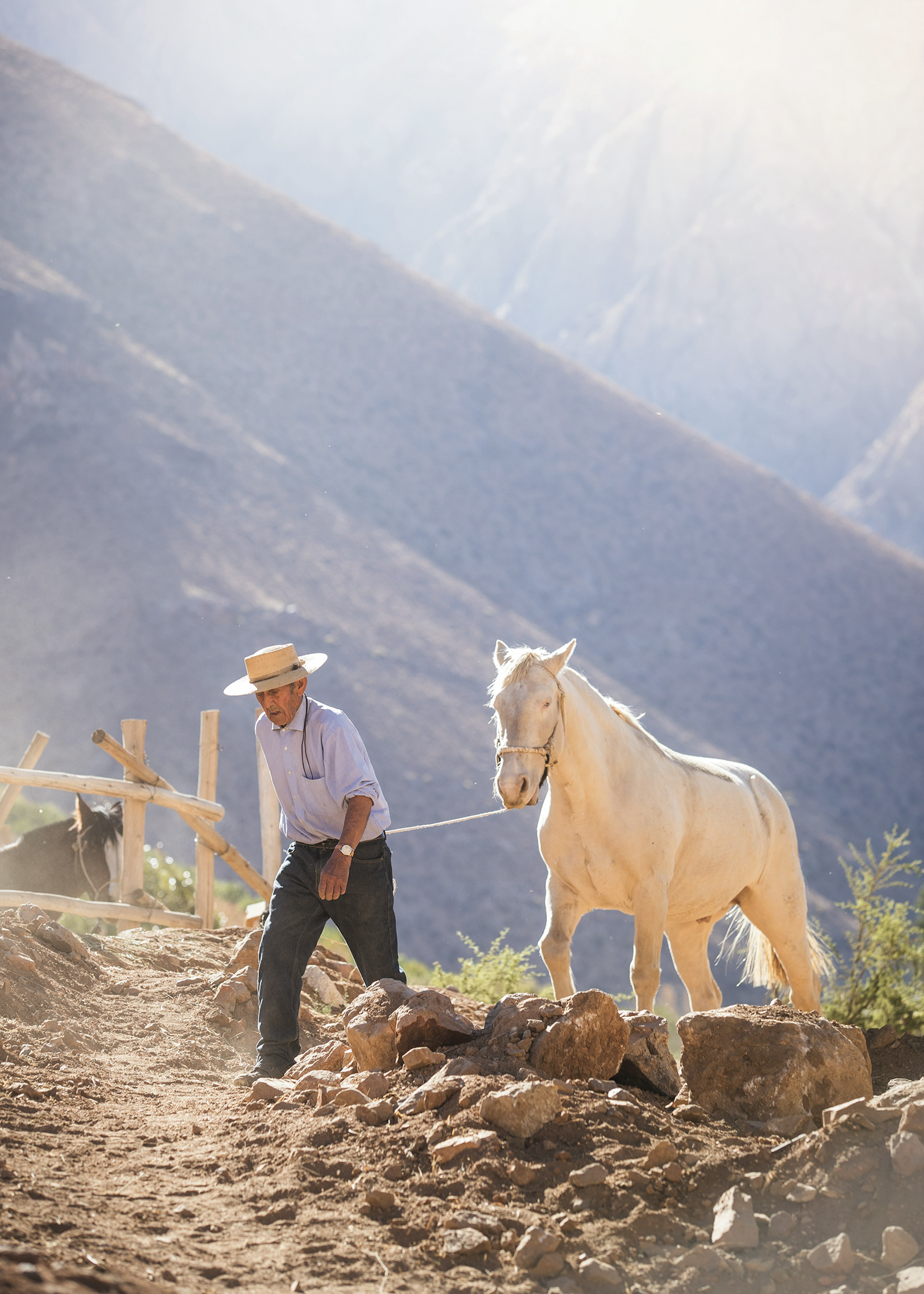 A farmer lead his horse across the hills of the Elqui Valley near Alcohuaz, Chile © Philip Lee Harvey / ϰϲʿ¼