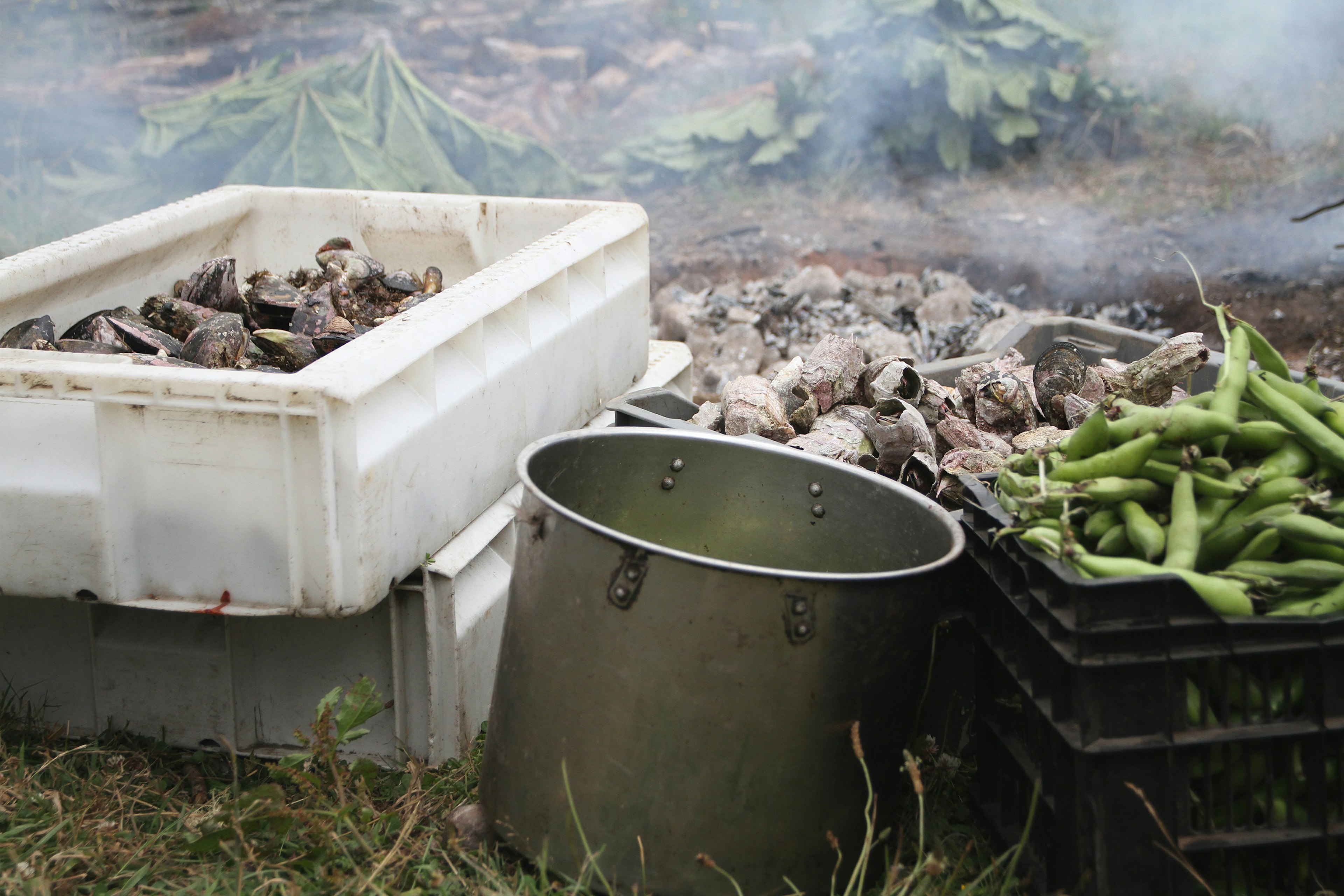 537405819
Meal, Chiloe Island, Organic, Prepared Shellfish, Prepared Fish, Cooking, Fishing, Freshness, Cultures, Nature, Chile, Bean, Fish, Crustacean, Island, Landscape, Sea, Seafood, Food, Stove, Curanto
Preparation of Curanto, typical food of Chiloe, Chile.