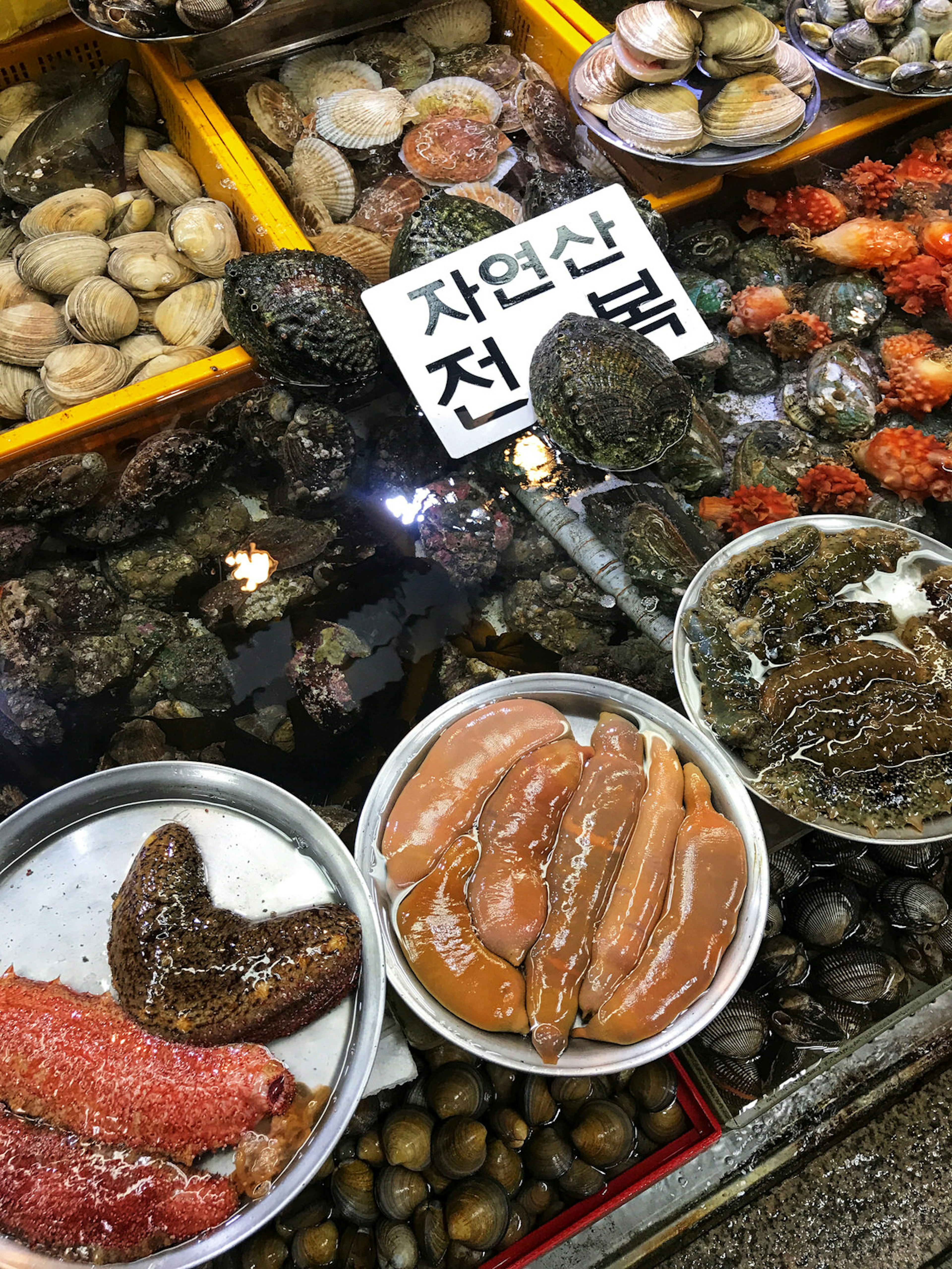 View of a market stall with bowls and platters of various shellfish and other types of seafood, including a bowl of penis fish. © MaSovaida Morgan