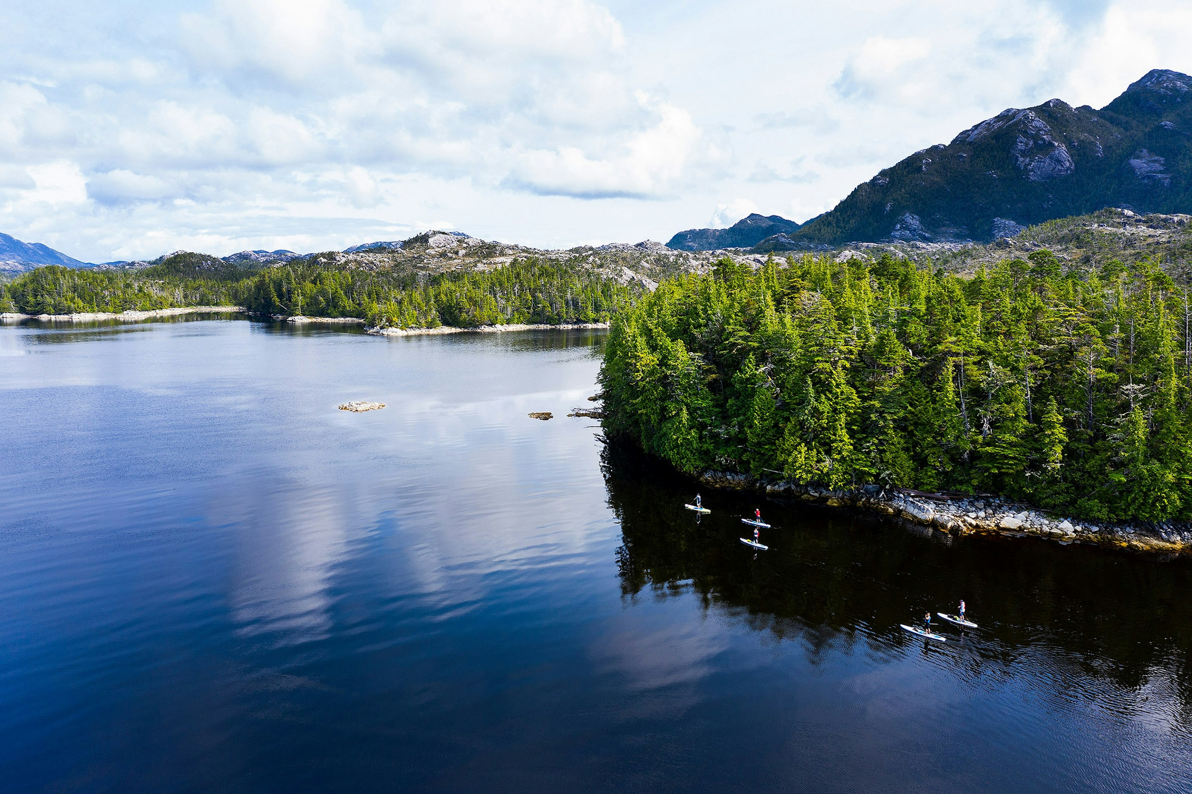 Five paddle boarders cruise along the forested coast of British Columbia; the waters are calm and the forests give way to mountains in the distance.