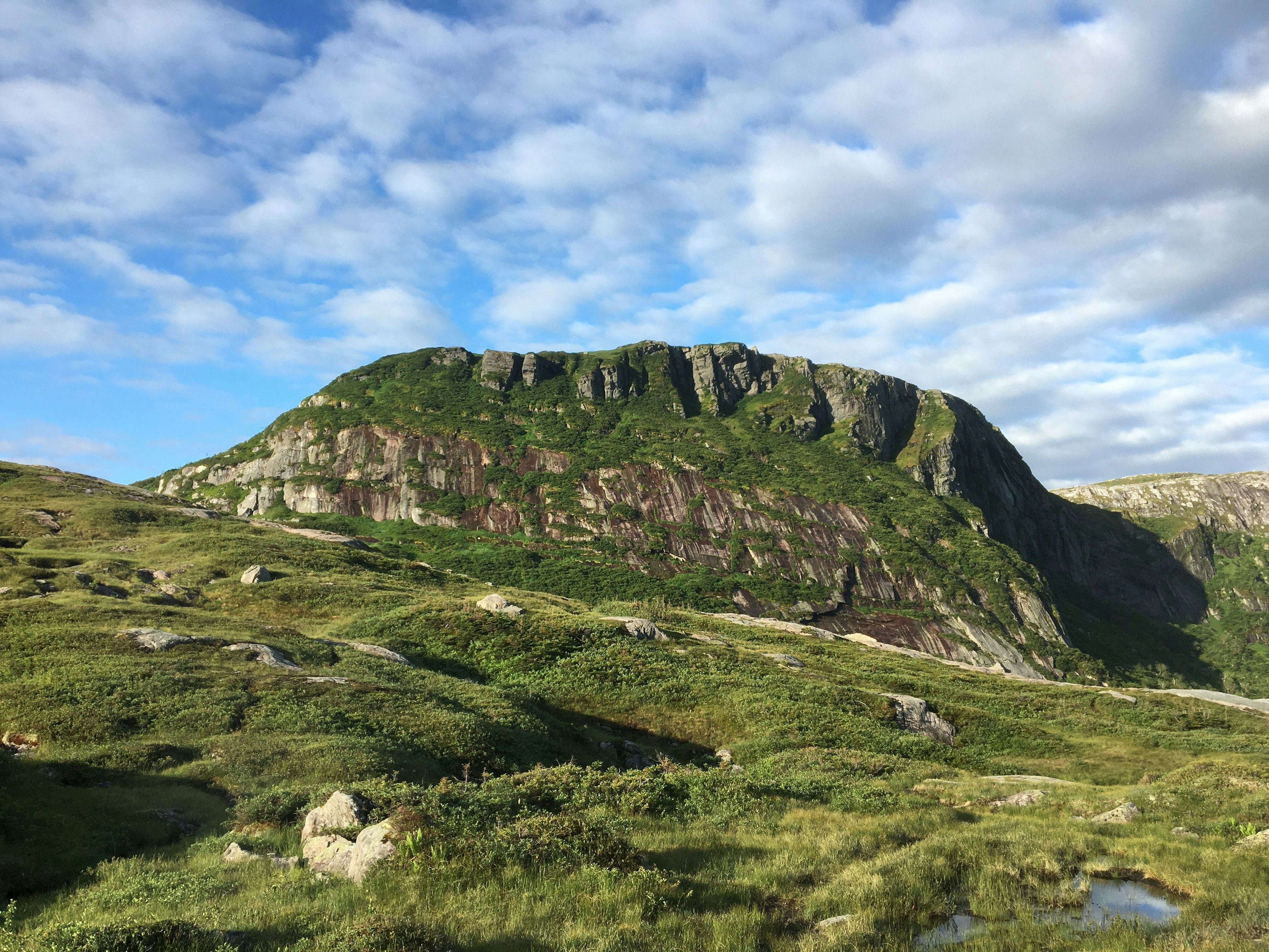 Lush green grass and moss cover rocky, rolling mountainsides in Gros Mourne National Park.