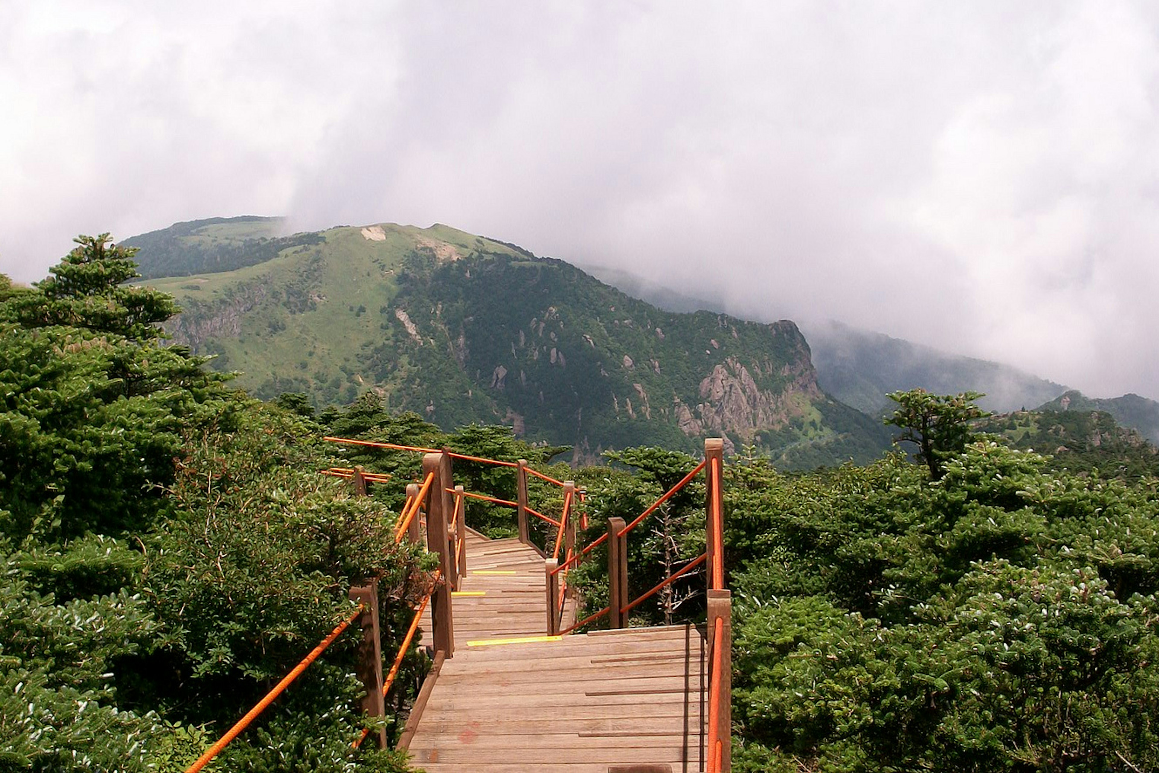 Excellent walking trails lead up Halla Mountain. Image by Sungsub Jang / CC BY 2.0