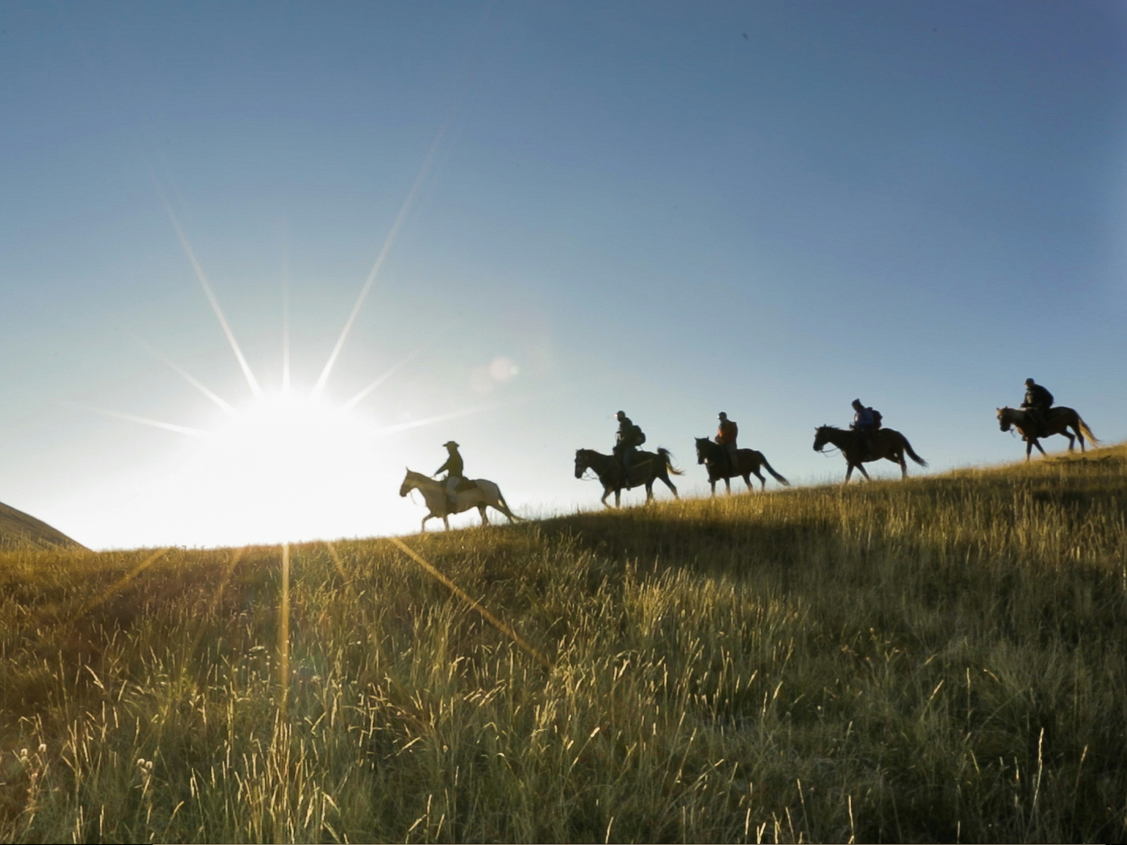 Horse riding on Bistra Mountain © courtesy of Novagenus