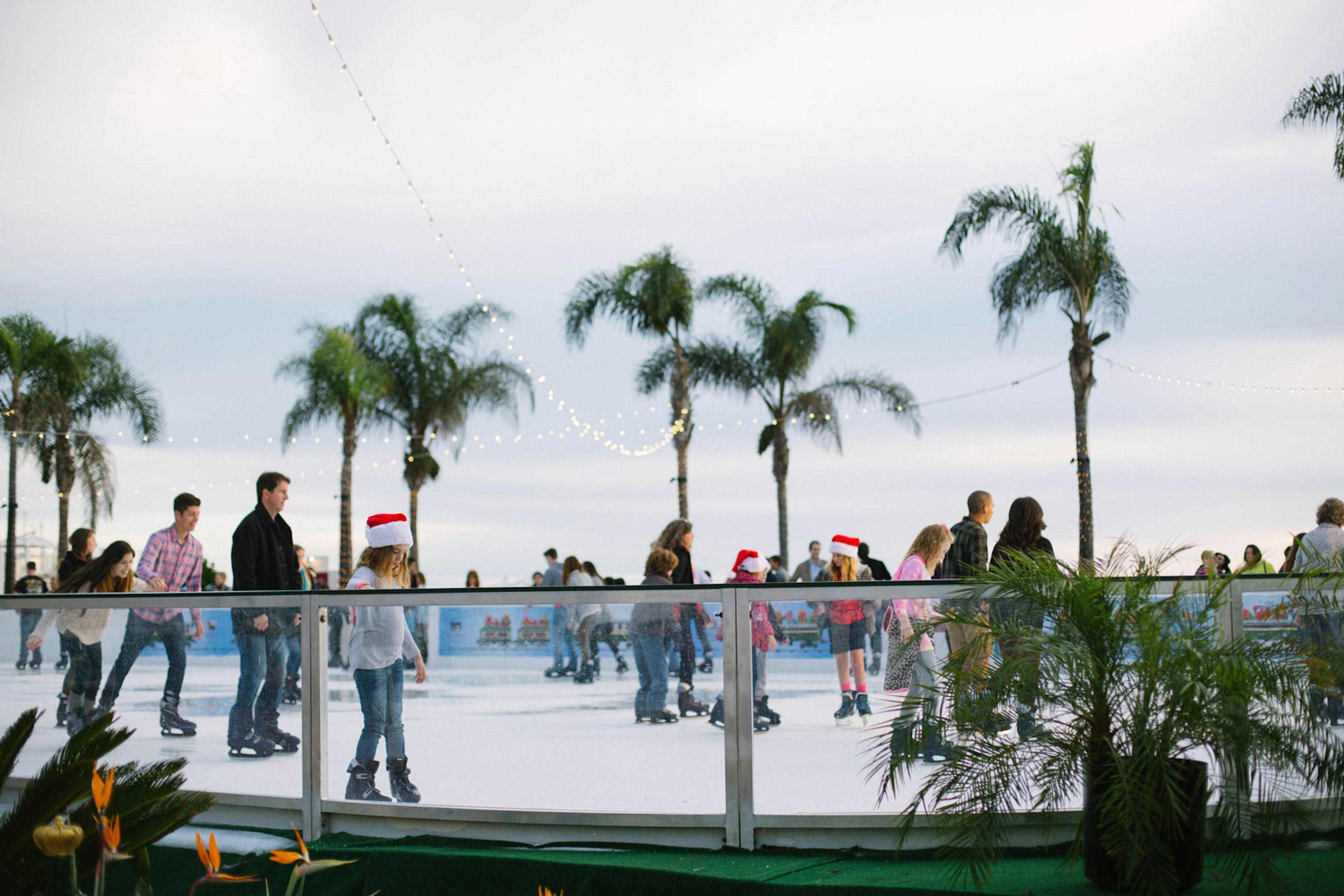 Parents and children ice skate under palm trees strung with holiday lights