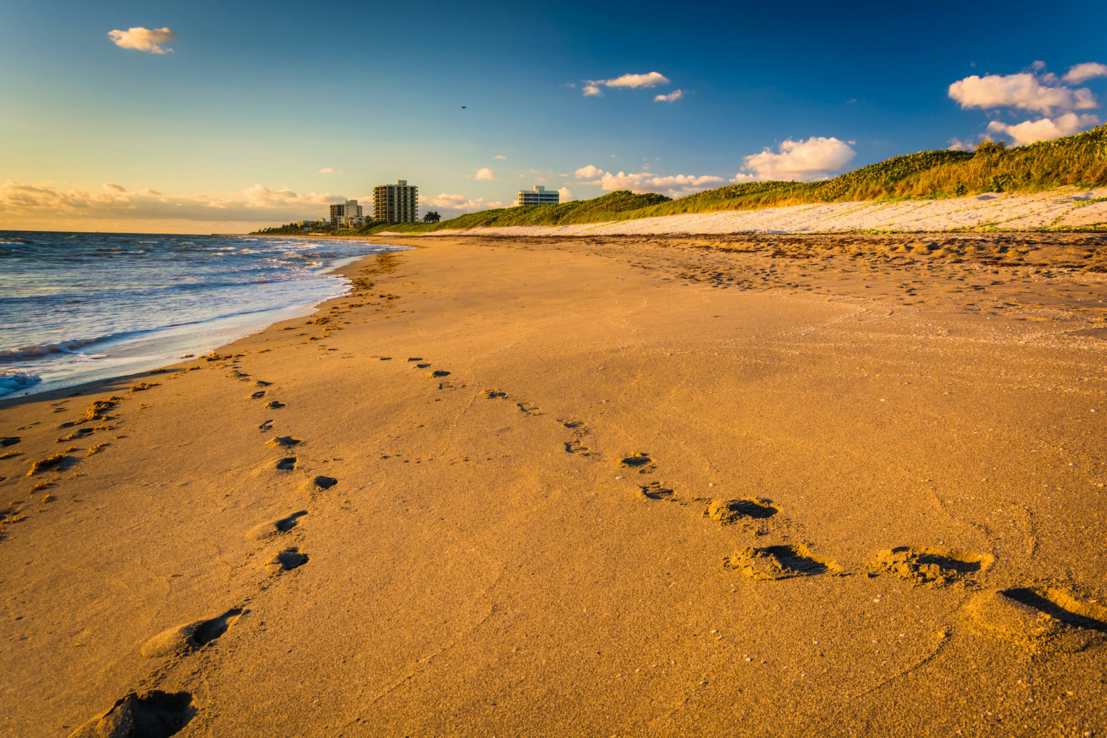 Coral Cove, Jupiter, Florida © Jon Bilous / Shutterstock