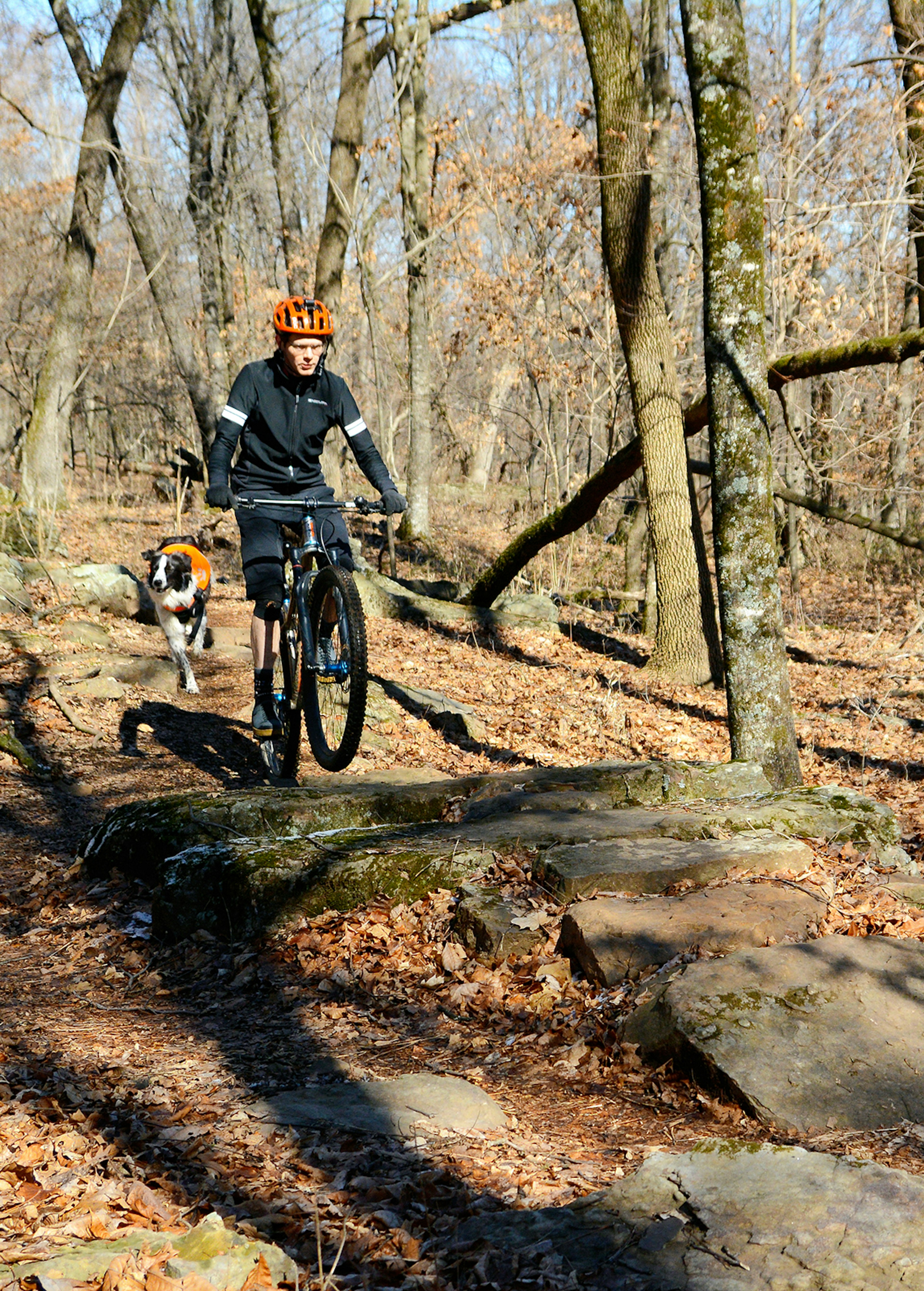 A mountain bike rider, with a dog following behind, leaps over a rocky outcropping