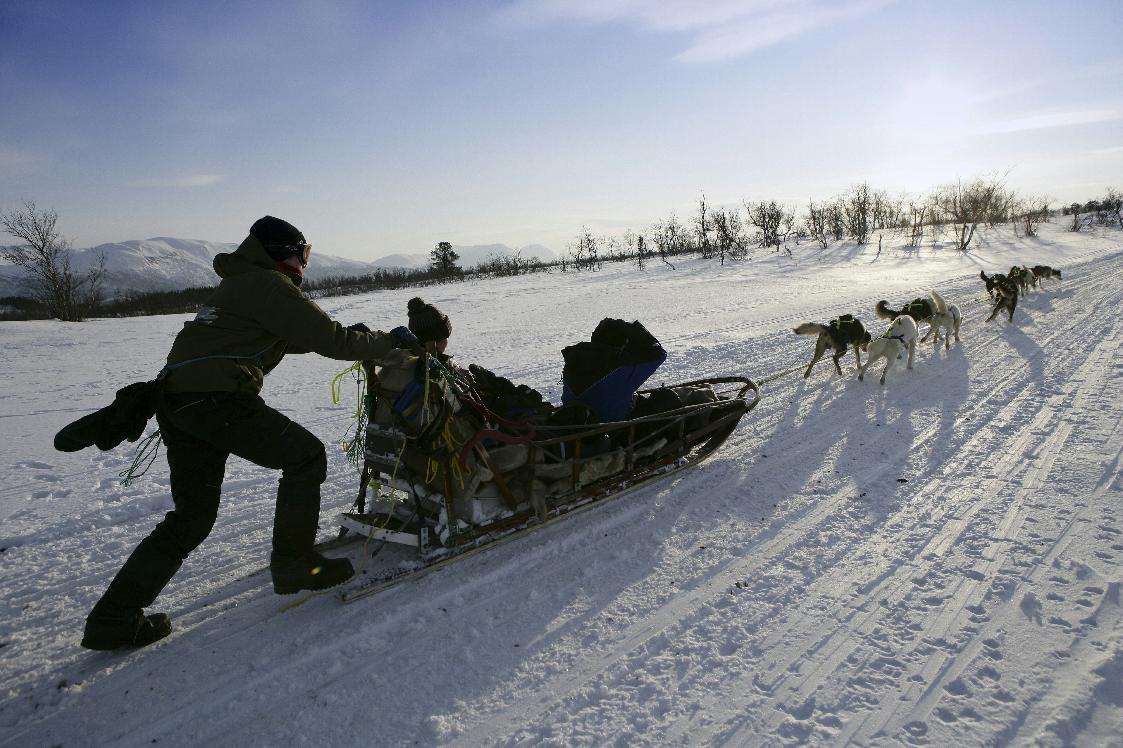 A musher pushes off with a dog team in Villmarkssenter, Norway