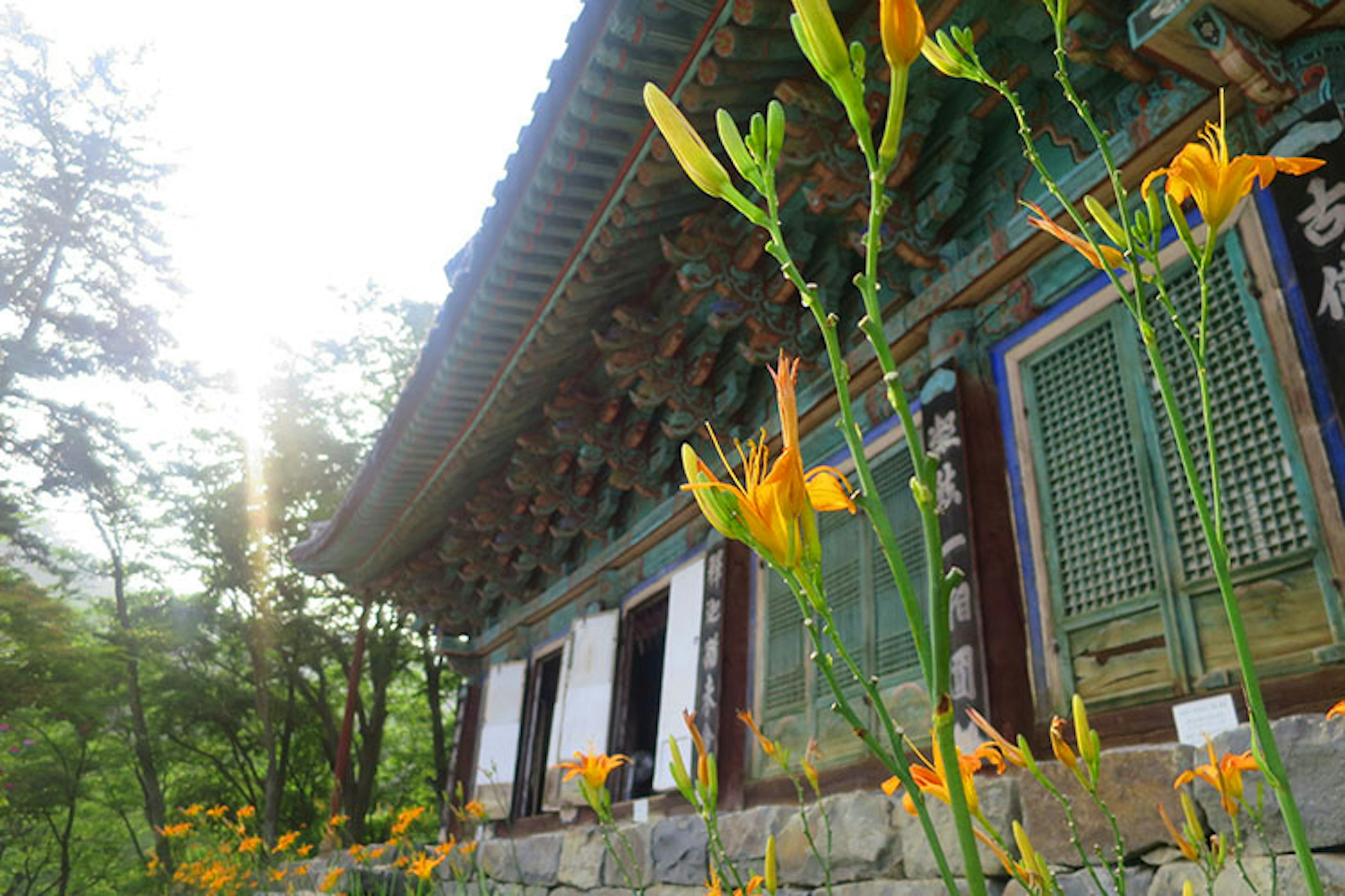 Flowers blooming at Magok-sa Temple. Image by Megan Eaves / Lonely Planet