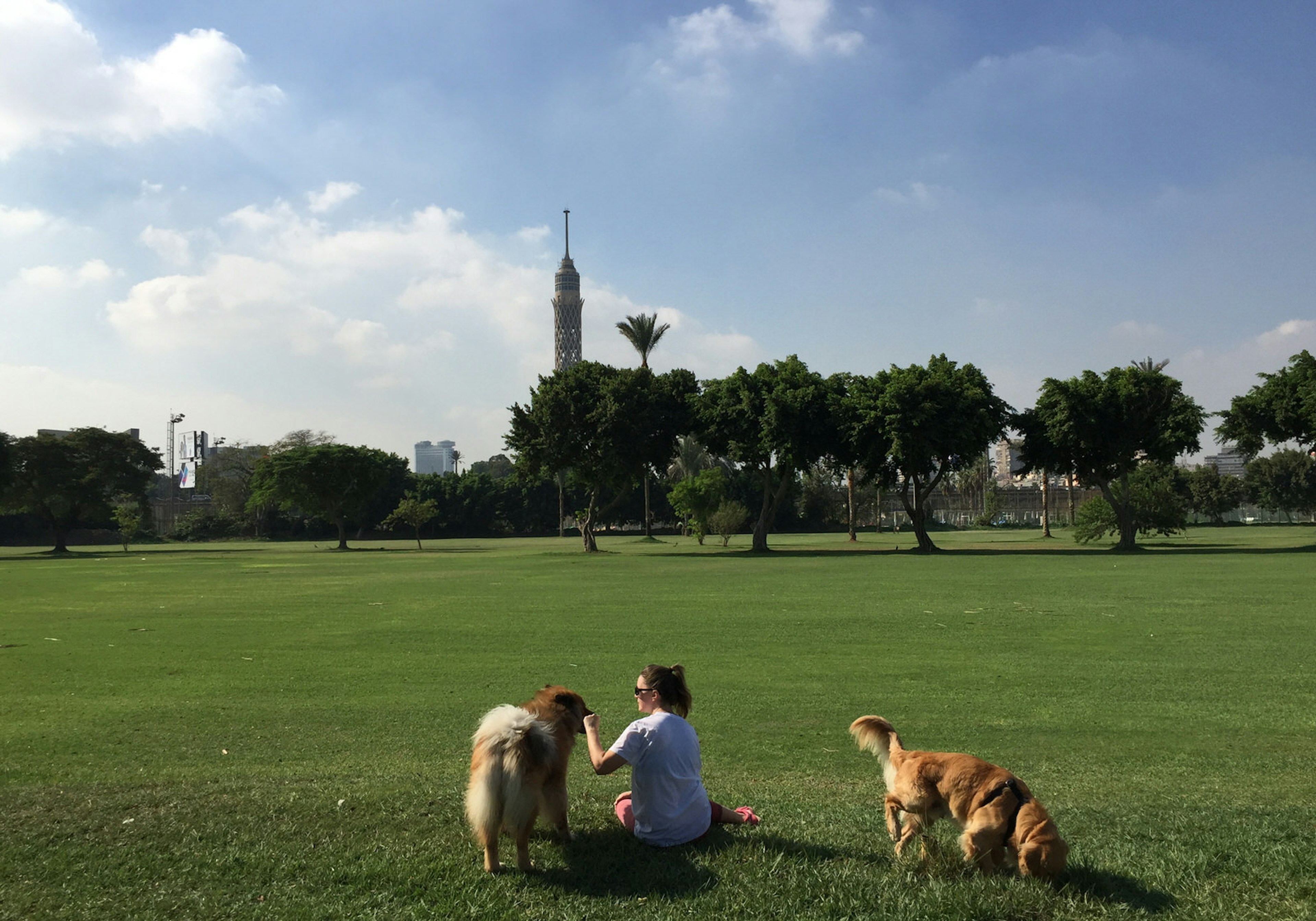 ϰϲʿ¼ Local Leah Bremer with her dogs at Gezira Sporting Club, Cairo, Egypt