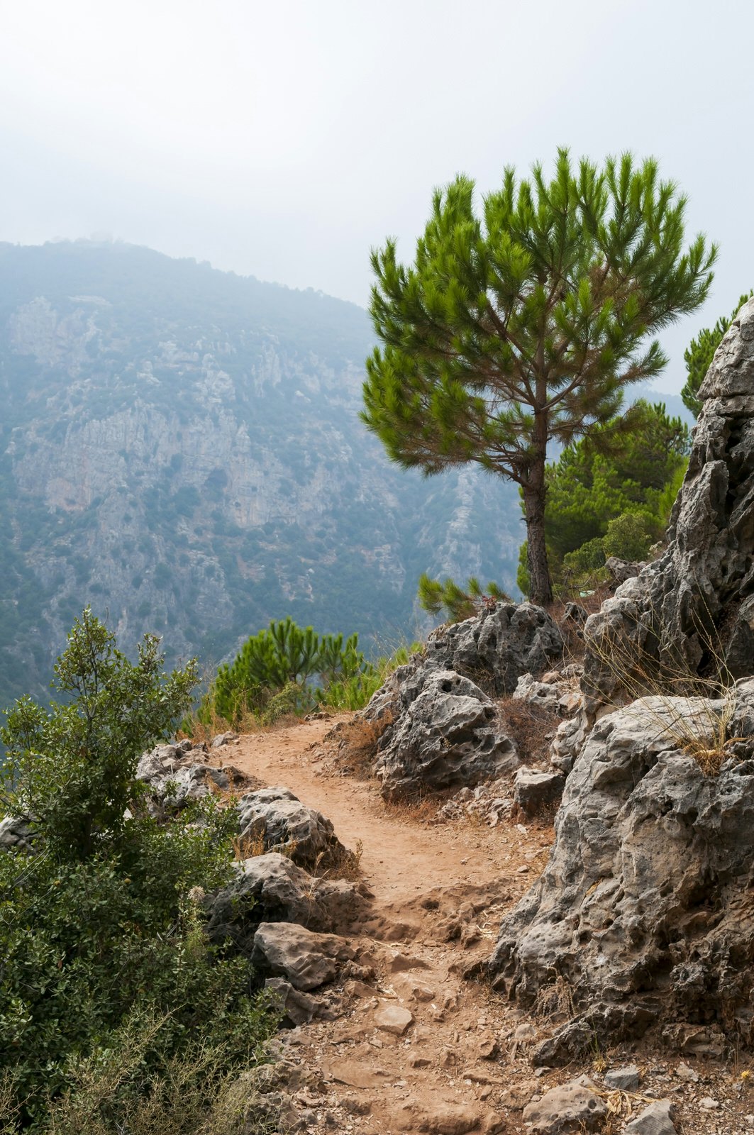 Narrow dirt path above the Qadisha Valley in Lebanon. Image by Joel Carillet / Getty Images