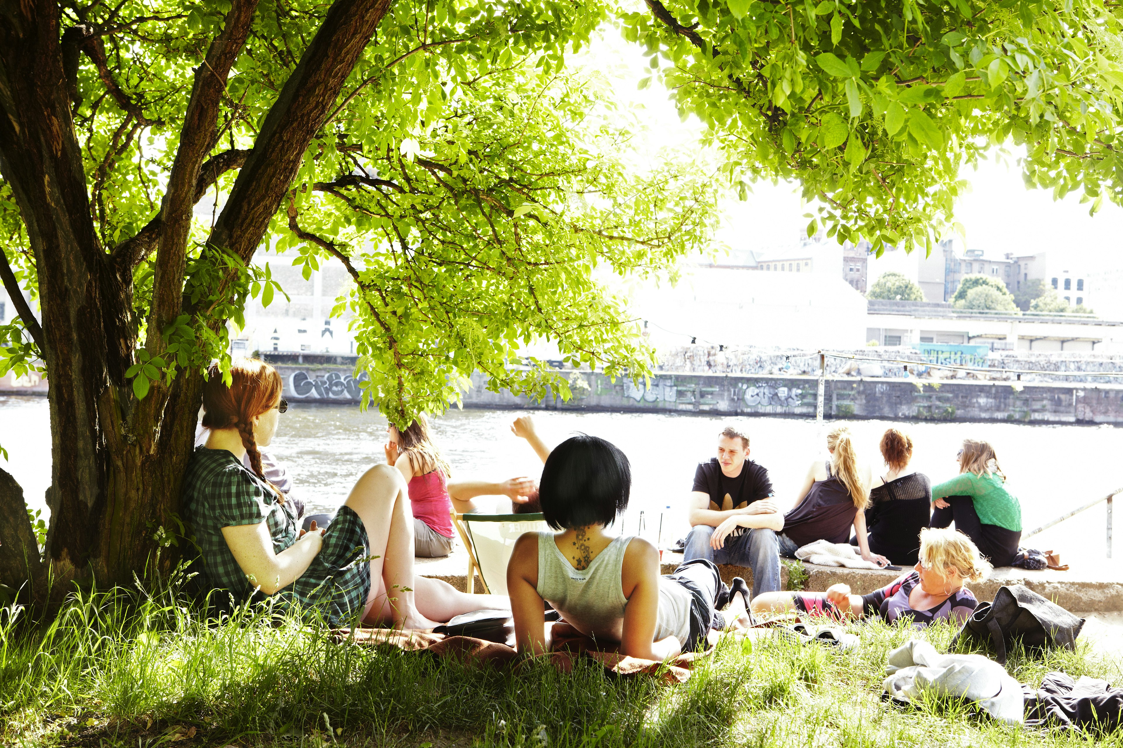 A group of people are lounging under a tree in a park on the banks of the Spree River in Berlin on a sunny day.