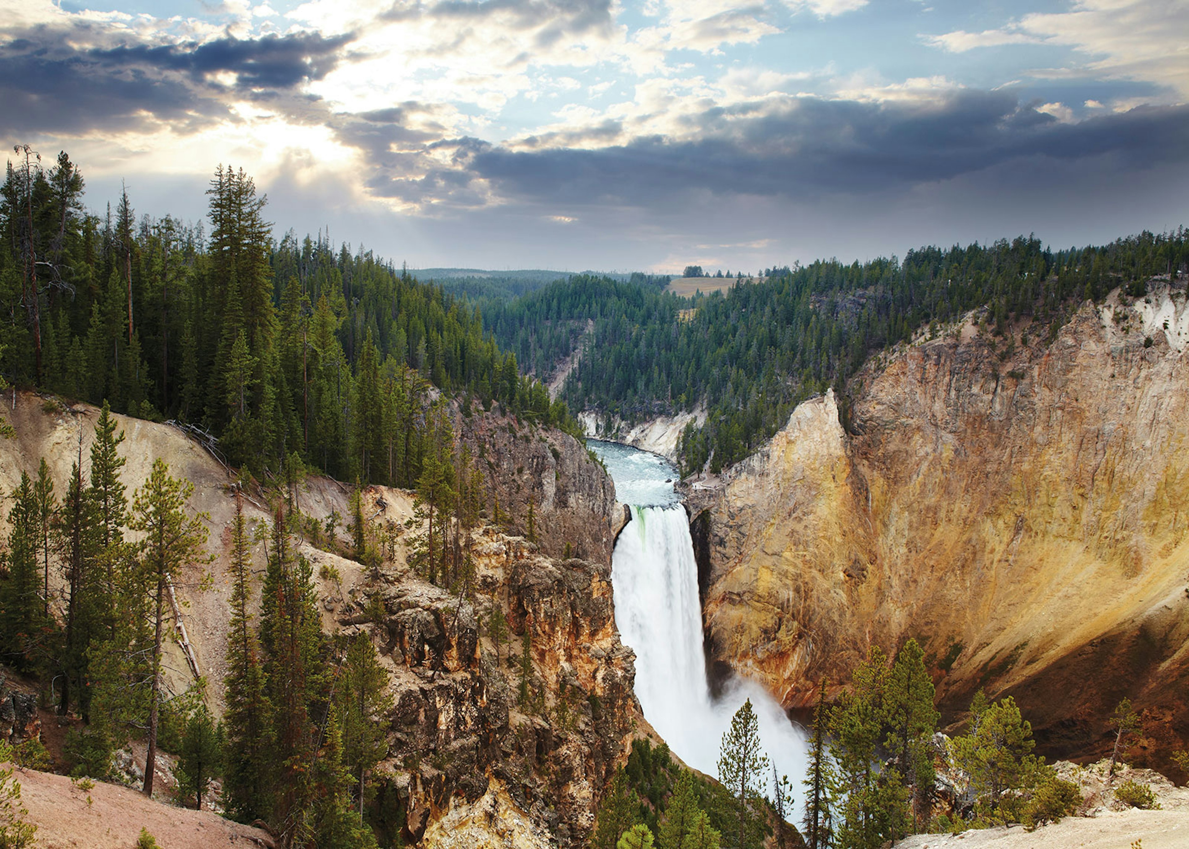 A panoramic view of Lower Falls, the tallest waterfall in Yellowstone National Park, plunging 308 feet into the Grand Canyon of the Yellowstone © Matt Munro / ϰϲʿ¼