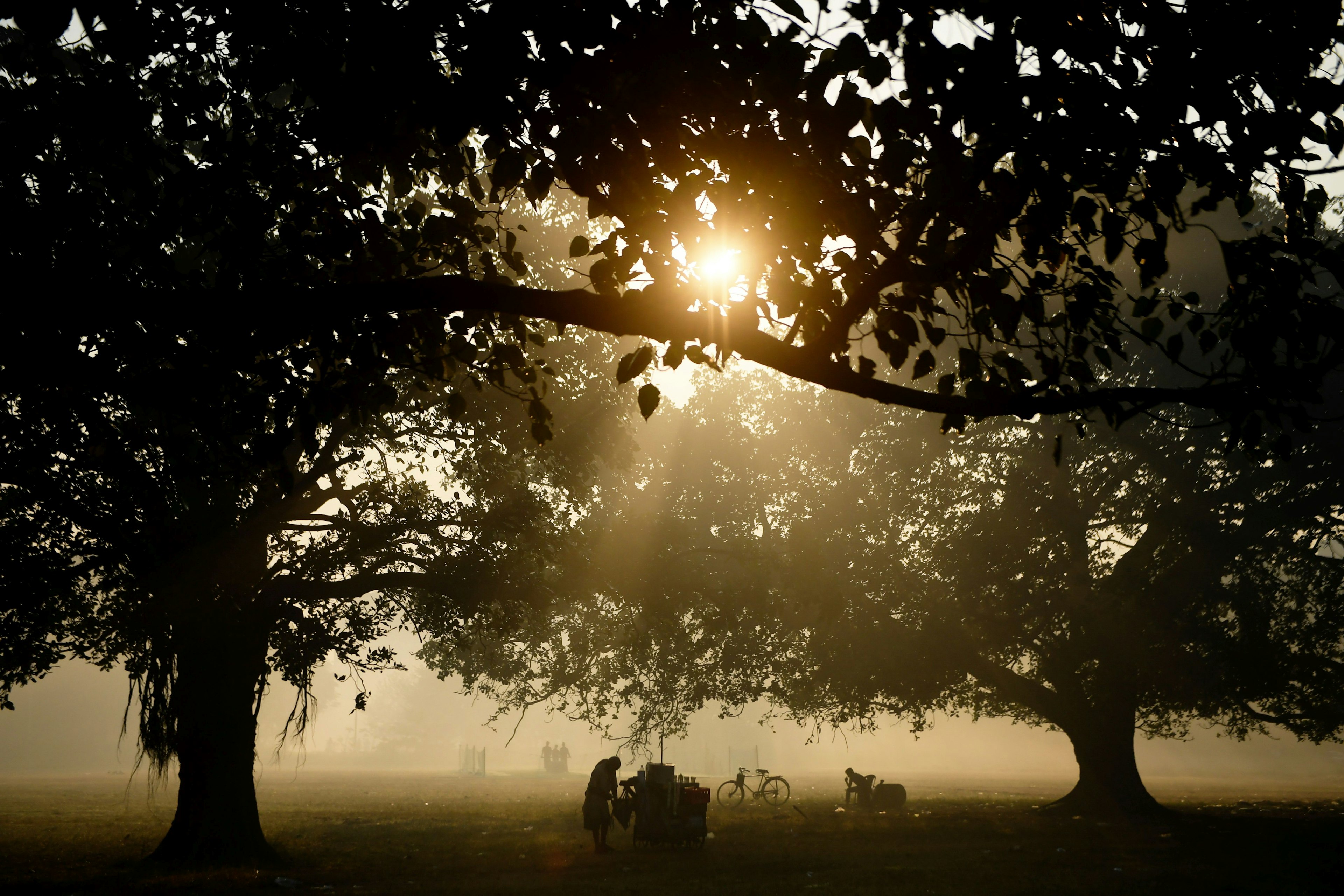 A lone snack vendor stands by his cart beneath trees in Maidan Park. The trees cast shadows over the scene meaning only the silhouette of the man and cart are visible.