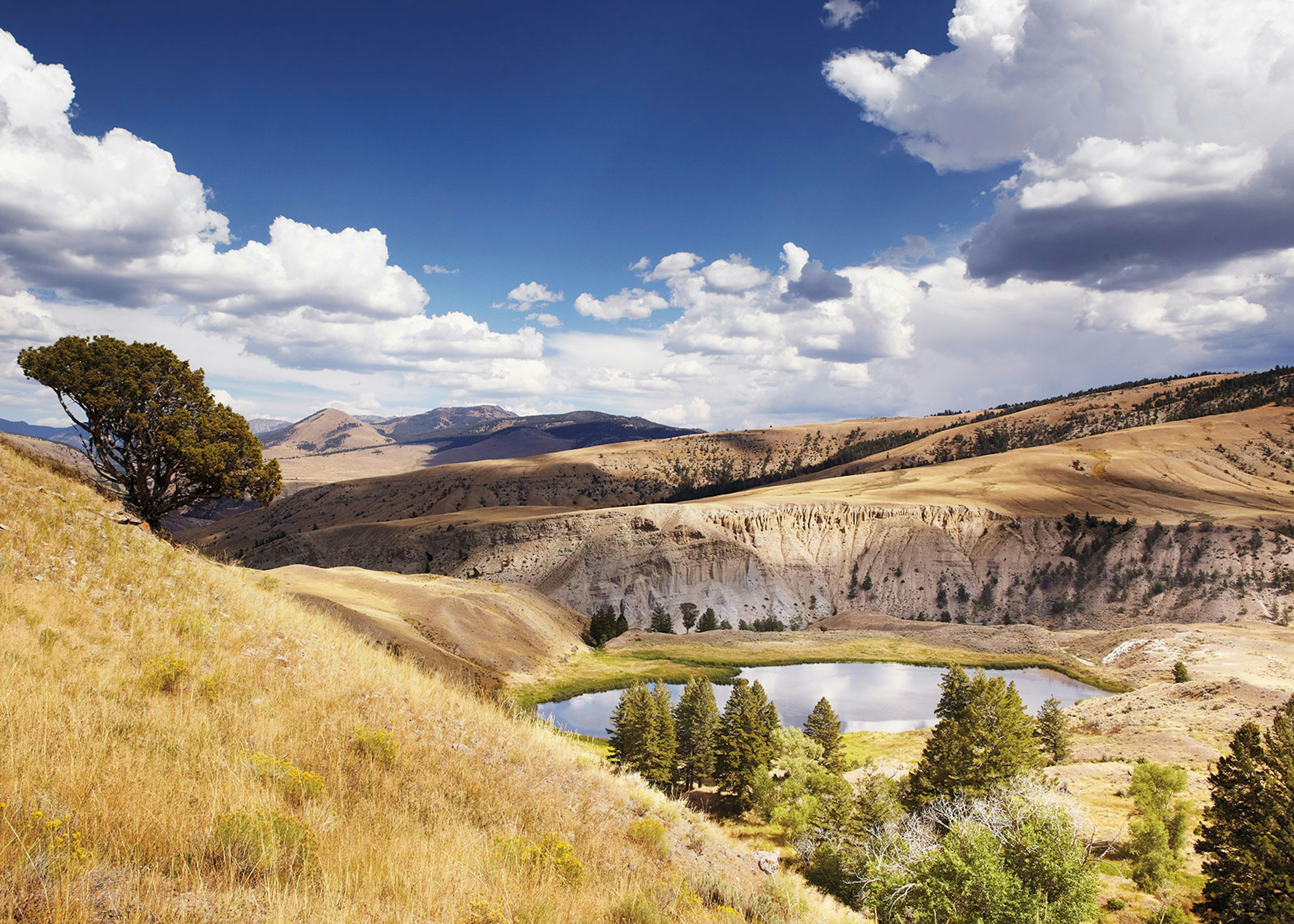 A view from a trail leading from Mammoth Hot Springs in Yellowstone National Park © Matt Munro / ϰϲʿ¼