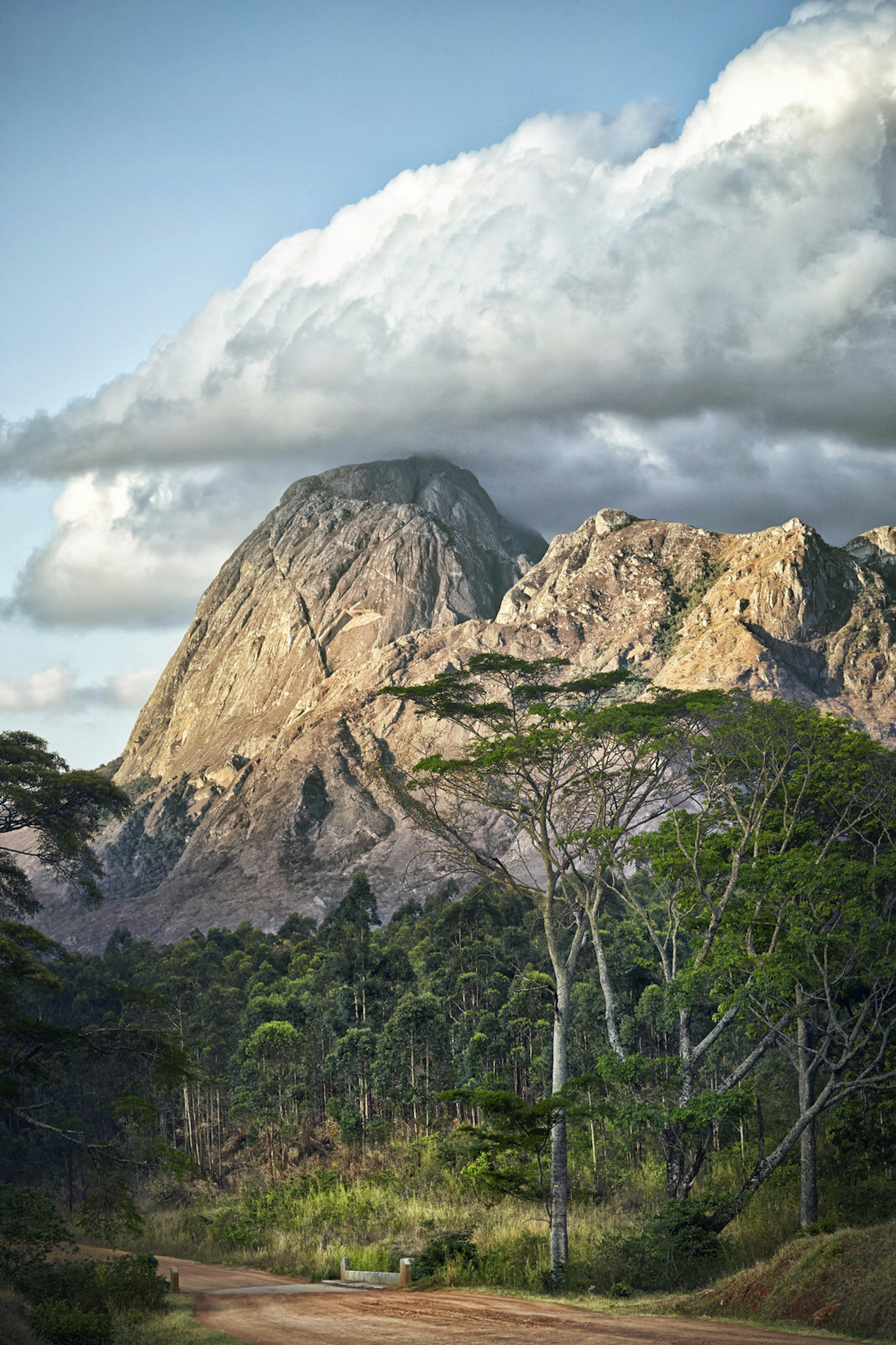 Mt Mulanje rising dramatically above the plains of southern Malawi