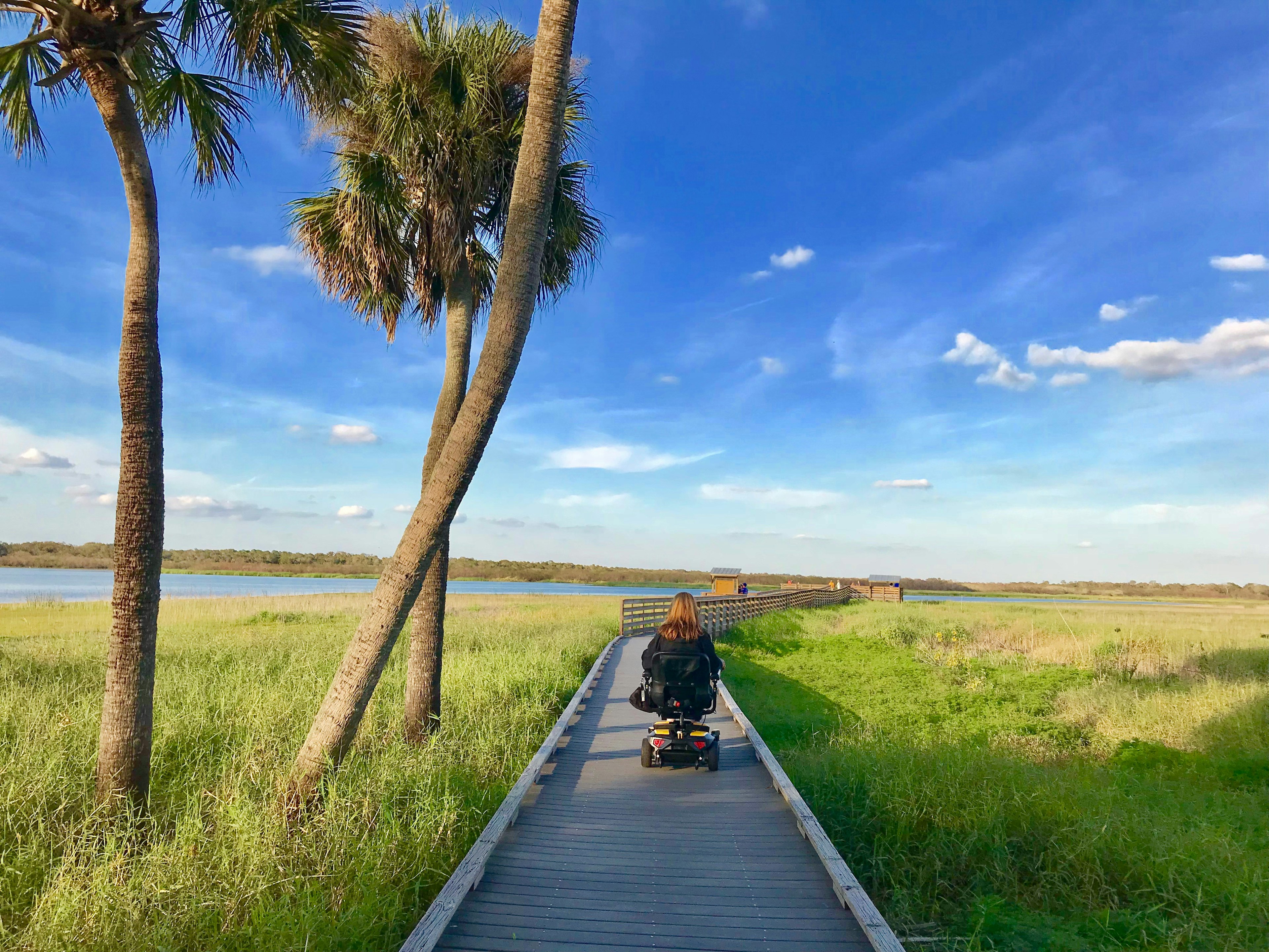 wheelchair user rolls down a wooden birdwalk over seagrass in Florida