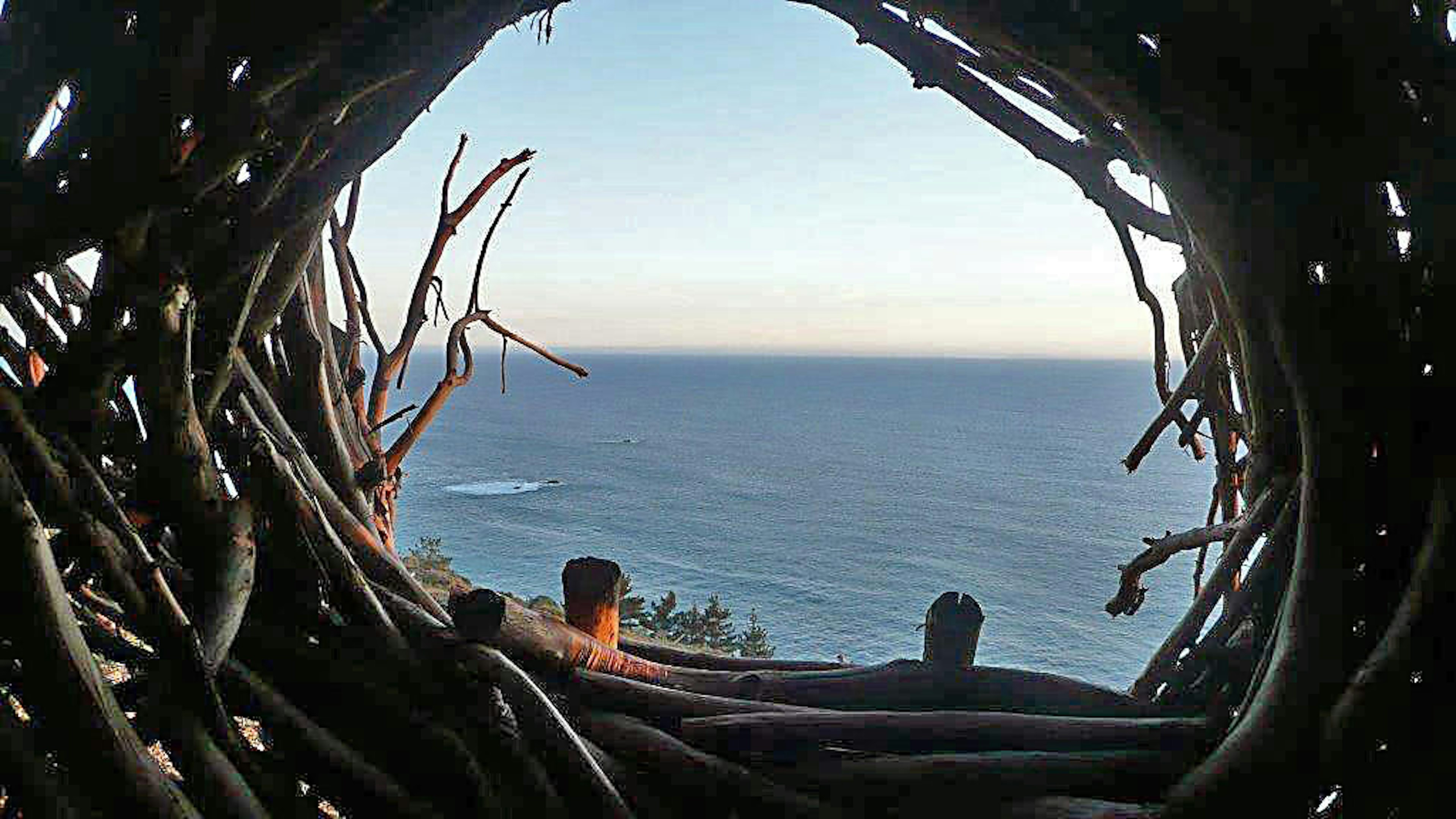 view from a nest-like sleeping spot in Big Sur