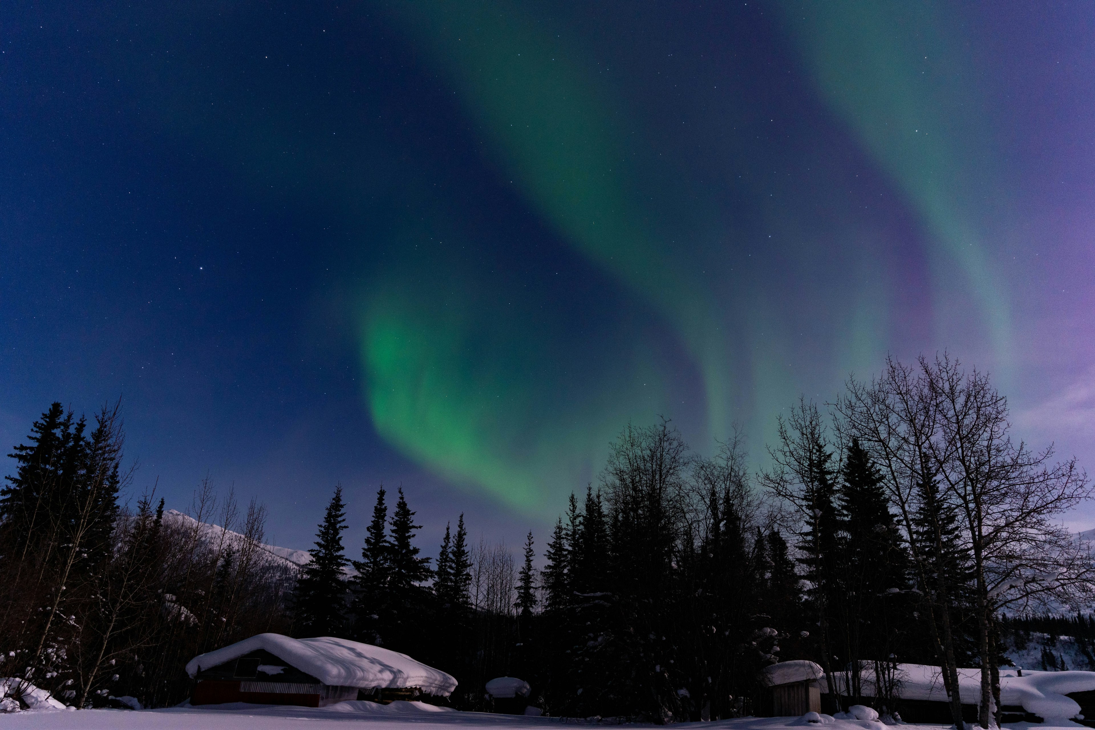 Wooden cabins are partially submerged in a thick layer of snow in the middle of trees. A display of the northern lights hang in the sky.