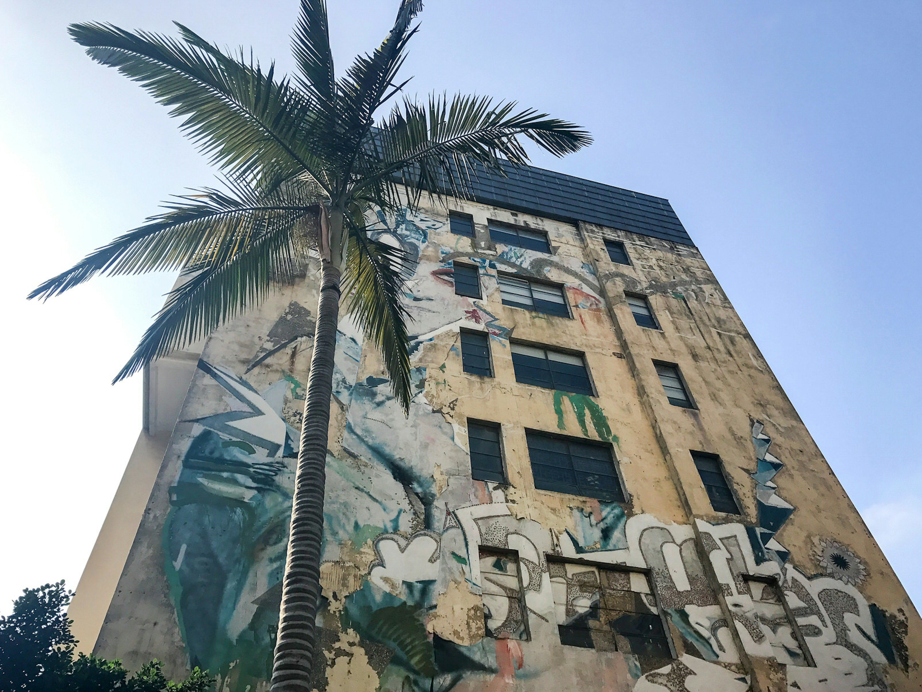 A palm tree in front of a shabby multi-storey factory building adorned in street art and graffiti. OCT Loft has renewed Shenzhen's old factory buildings, transforming them into galleries and art spaces © Cathy Adams / ϰϲʿ¼