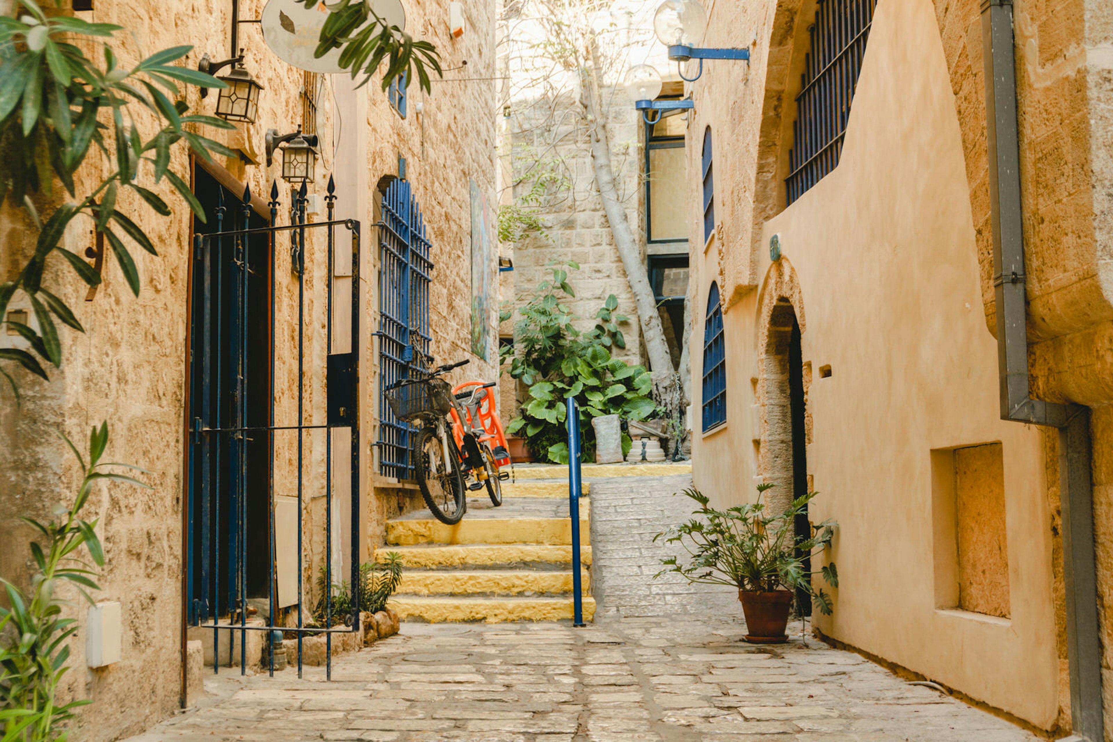 Alleyway in old Jaffa, with stone buildings draped in plants.