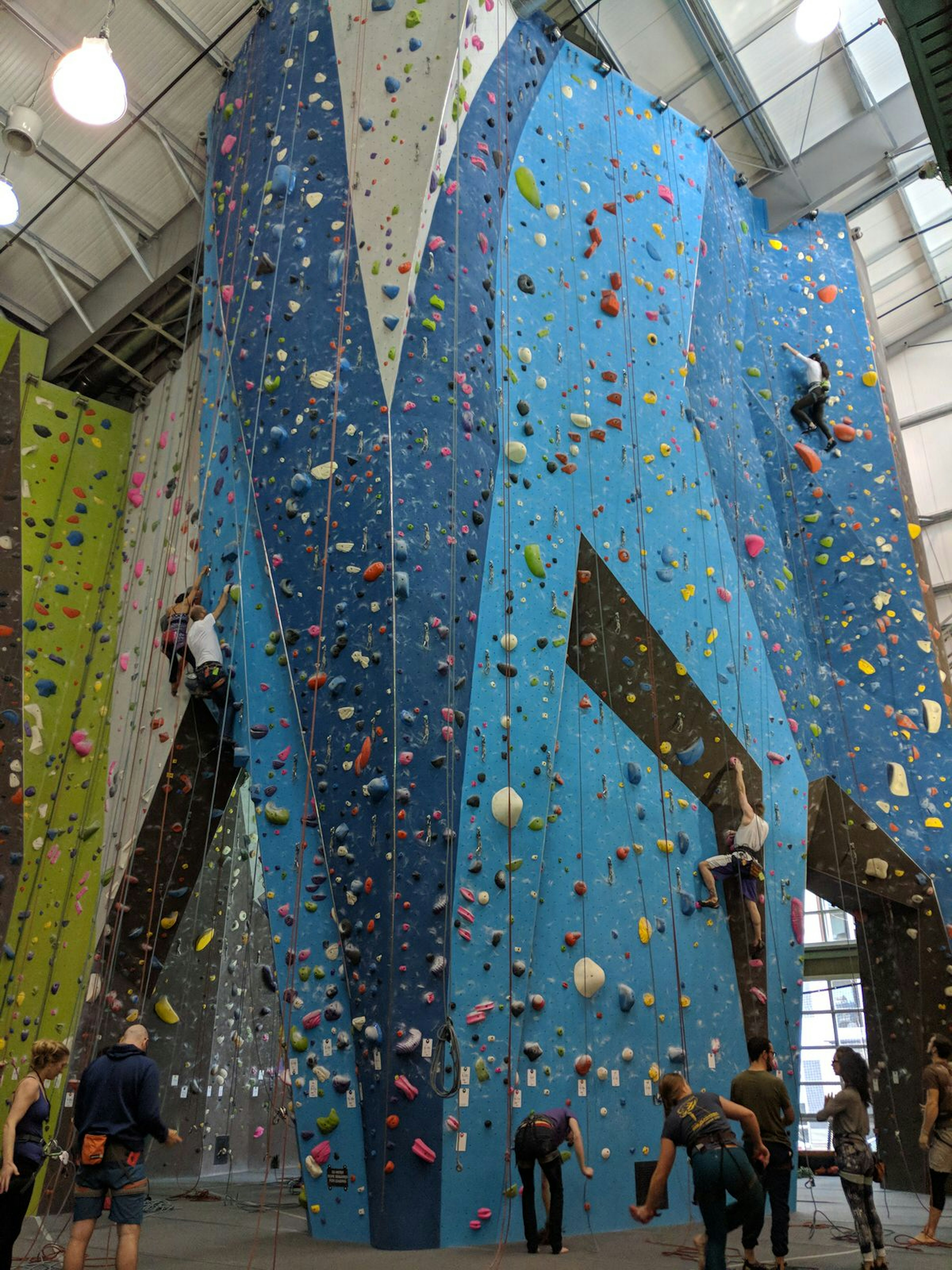 A very tall blue wall with hand-holds for indoor climbing © Becky Ohlsen / Lonely Planet